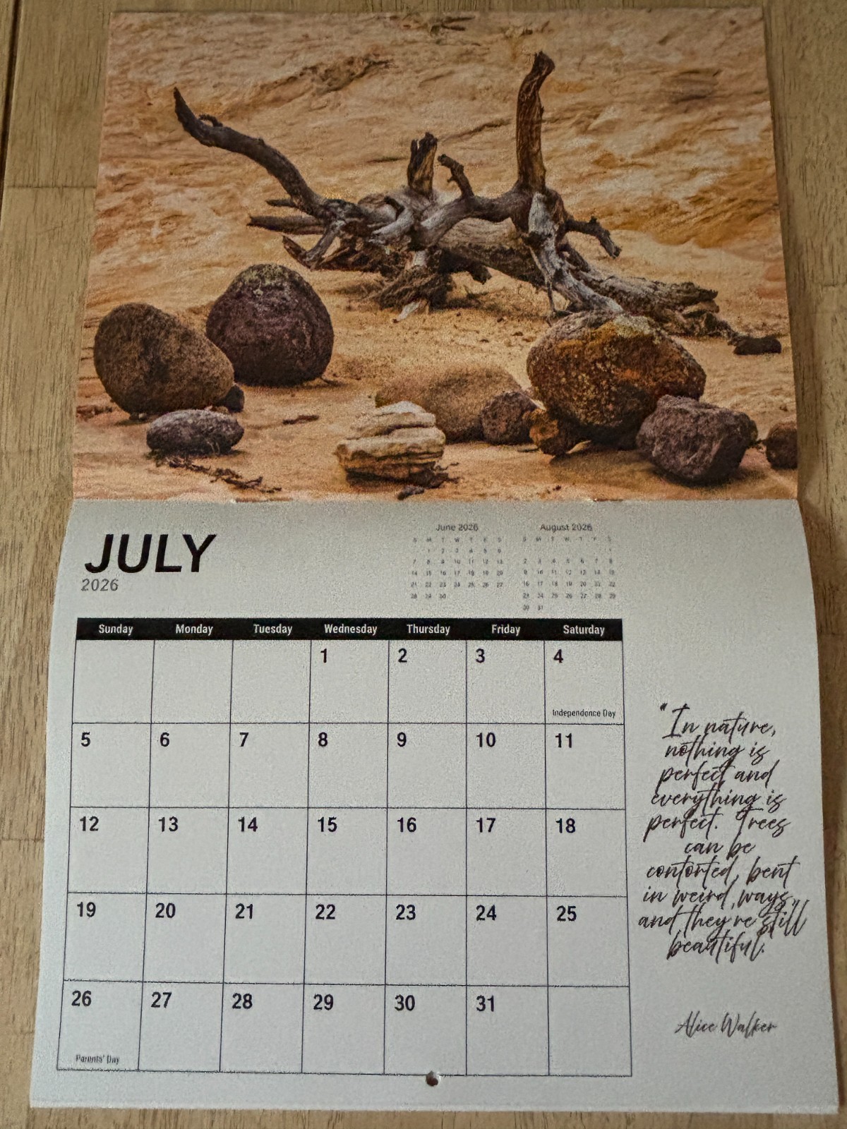 Tree Chronicles – 2026- 12-Month Wall Calendar – Great Tree Photography!