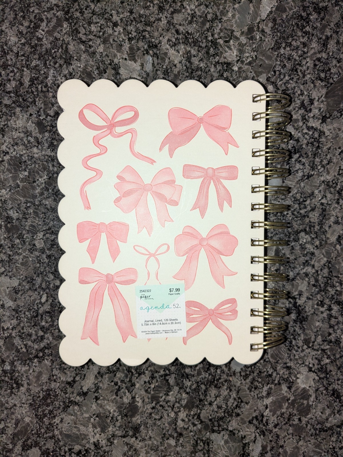 Ringed Journal with Scalloped Edge & Pink Bow Design, 120 Lined Pages, New