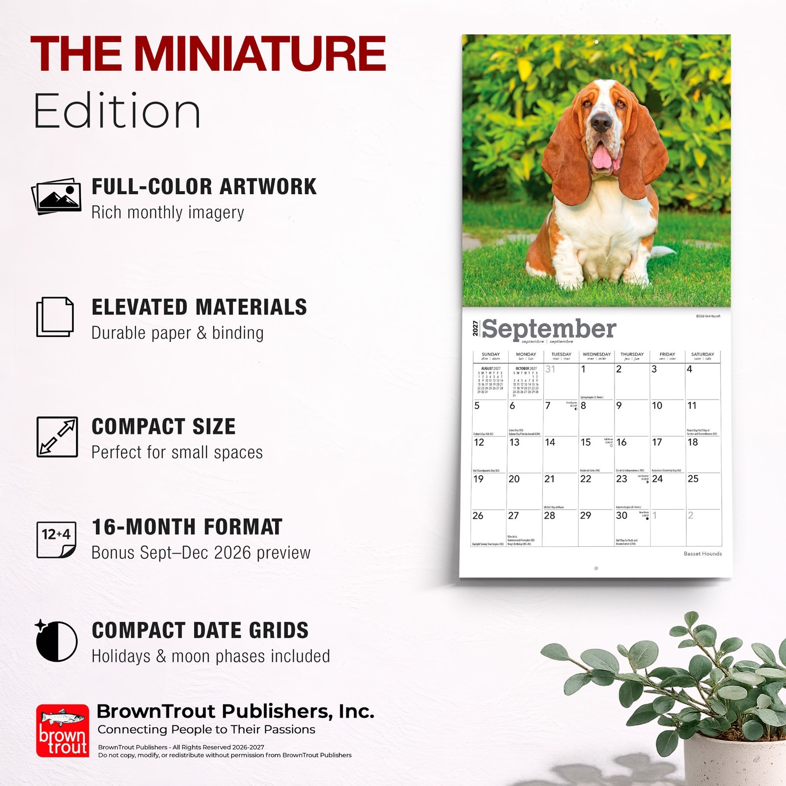 Basset Hounds | 2027 7×14″ (Hanging) Monthly Mini Wall Calendar