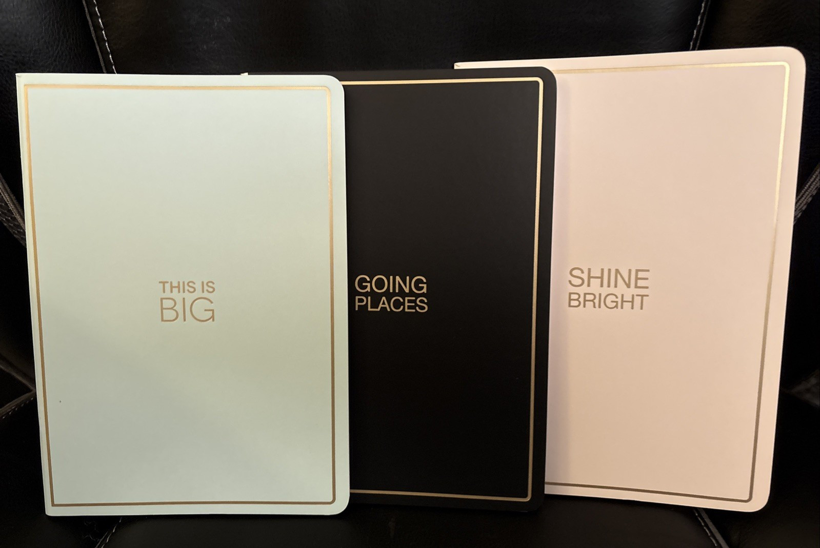 Lot of 2- Off ice Depot-3 pack of Journals, 40 pages each