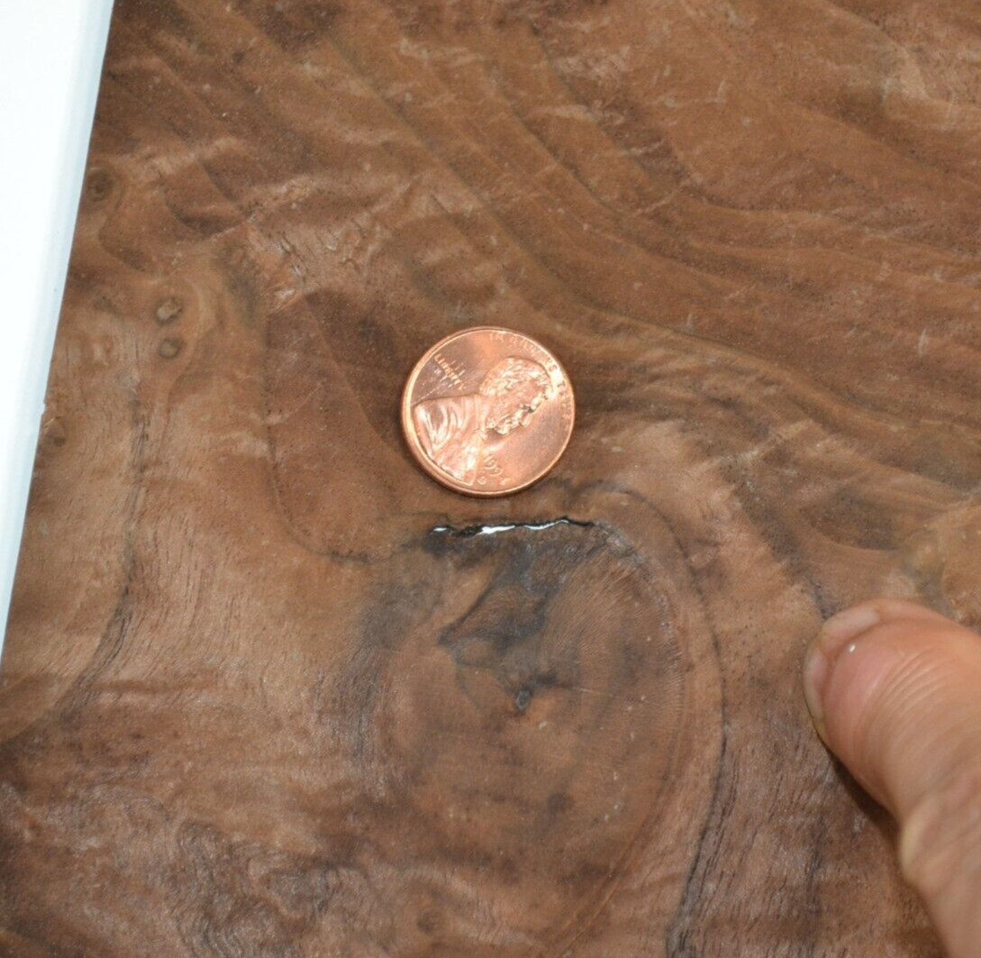 Walnut Burl Raw Wood Veneer Sheet 10 x 10.5 inches 1/42nd thick 4671-85