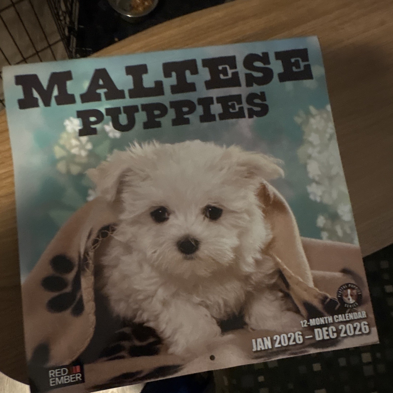 Red Ember Maltese Puppies Wall Calendar 2026 12-Month Calendar