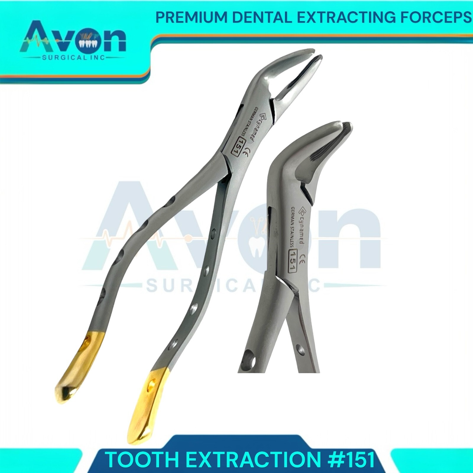 Premium German Autoclavable Extracting Forceps #151 Universal Dental Instruments