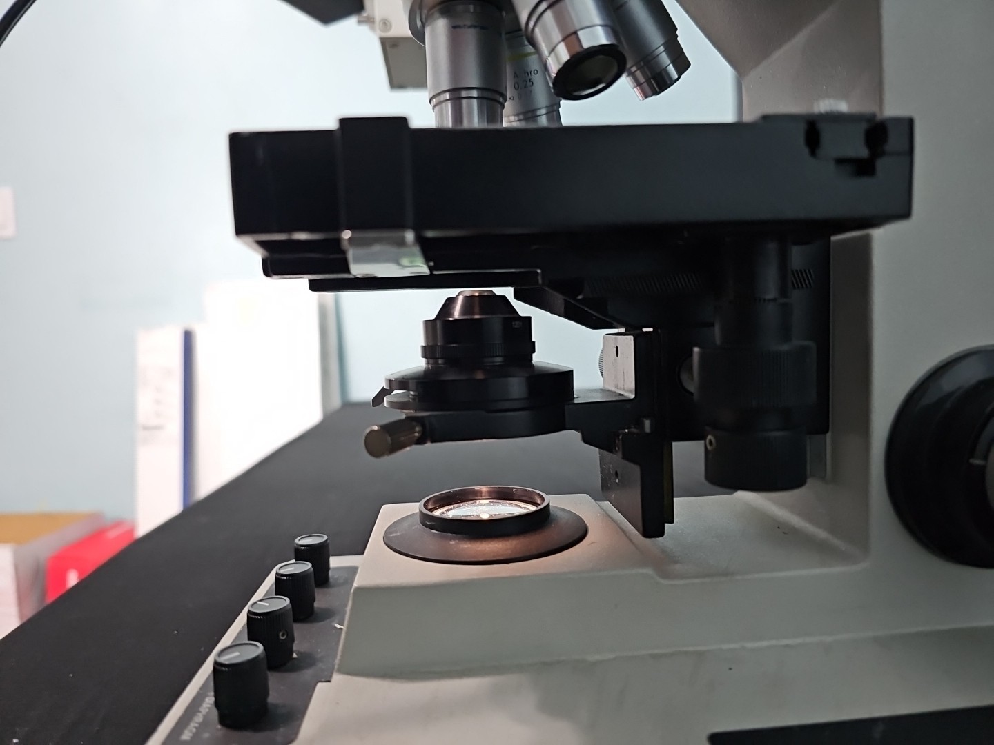 Reichert Microstar IV 410 Dual Head Microscope W/ 4x, 10x, 40x, 100x/1.25
