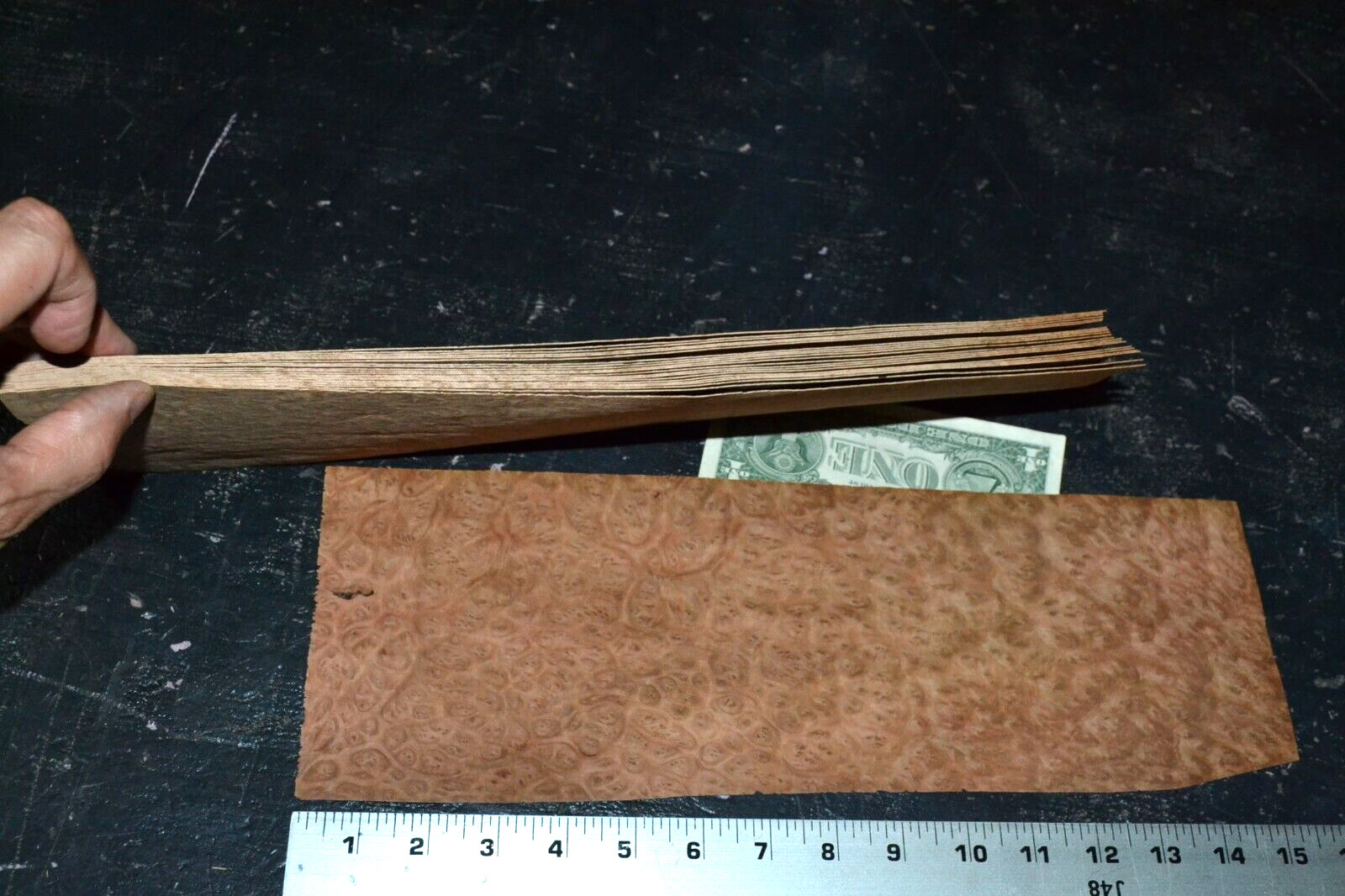 Eucalyptus Burl Raw Wood Veneer Sheets 5 x 13 inches 1/42nd 5940-11