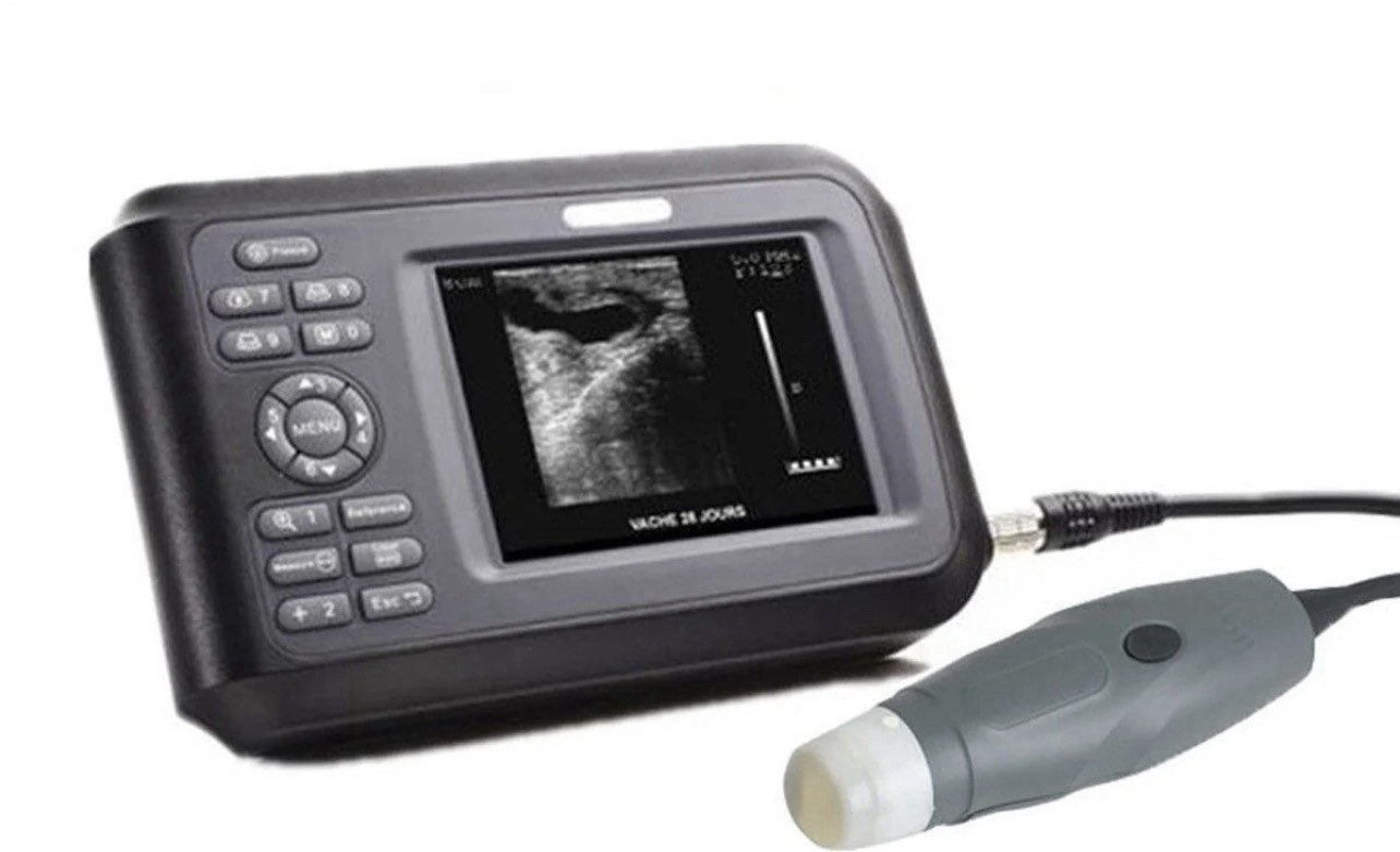 Ultrasound Scanner Veterinary Pregnancy 3.5MHz Convex Probe Dogs Animals NEW