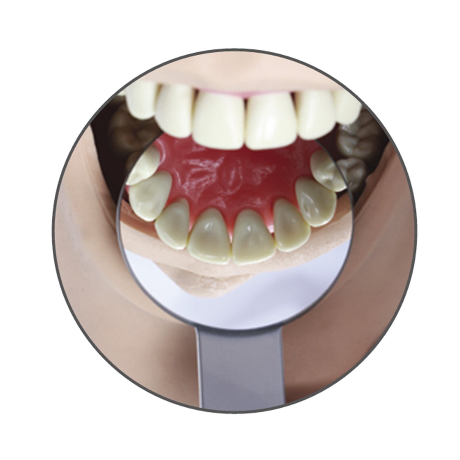 Osung 1.7″ Dia. Large Round Mouth Mirror Metal Handle Dental Mirror DMEM (#1366)