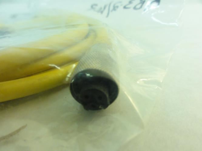 203270 New-No Box; Turck KB32/XOR Cordset; 2M