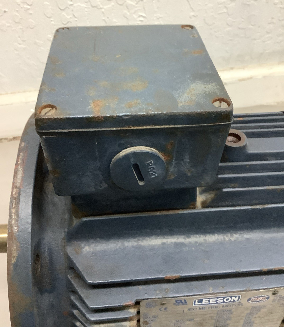 Leeson 193105.60 C112T17FZ2C IEC Metric Motor 1740/1450RPM, 3-Ph, 5-1/2HP (f22)