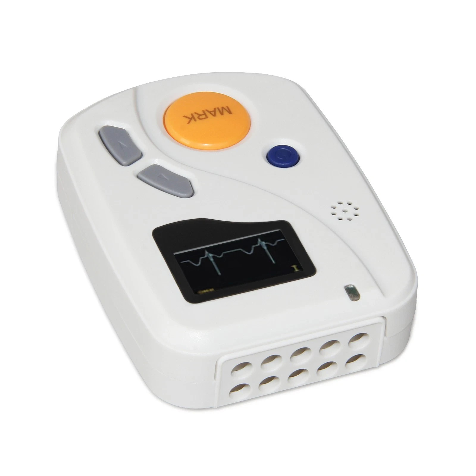 12 Lead Dynamic ECG/EKG Holter Monitor System 24 Hours Ambulatory EKG Recorder