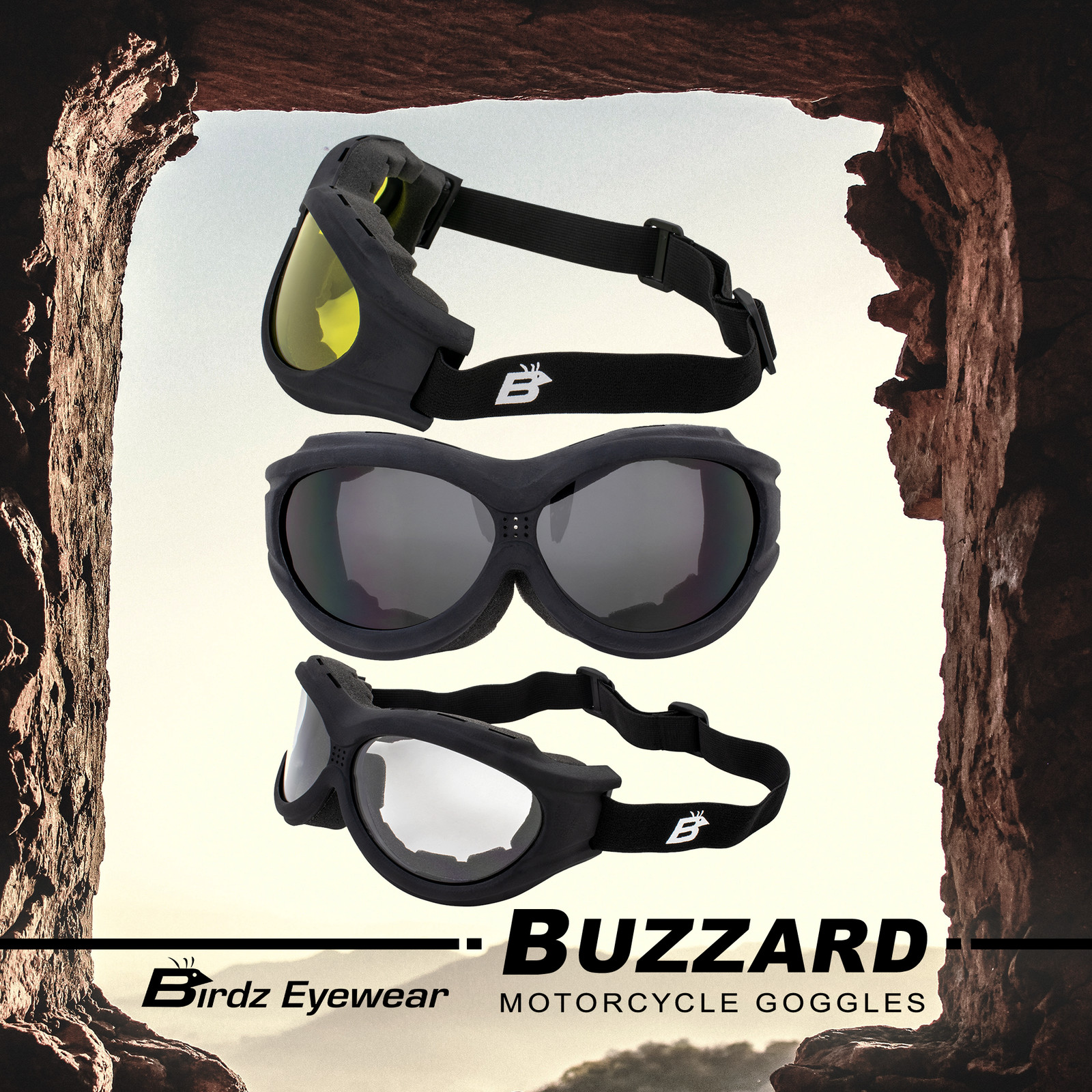 2 Pairs Birdz Buzzard Motorcycle Goggles Fit Over Glasses Black Clear Smoke Lens