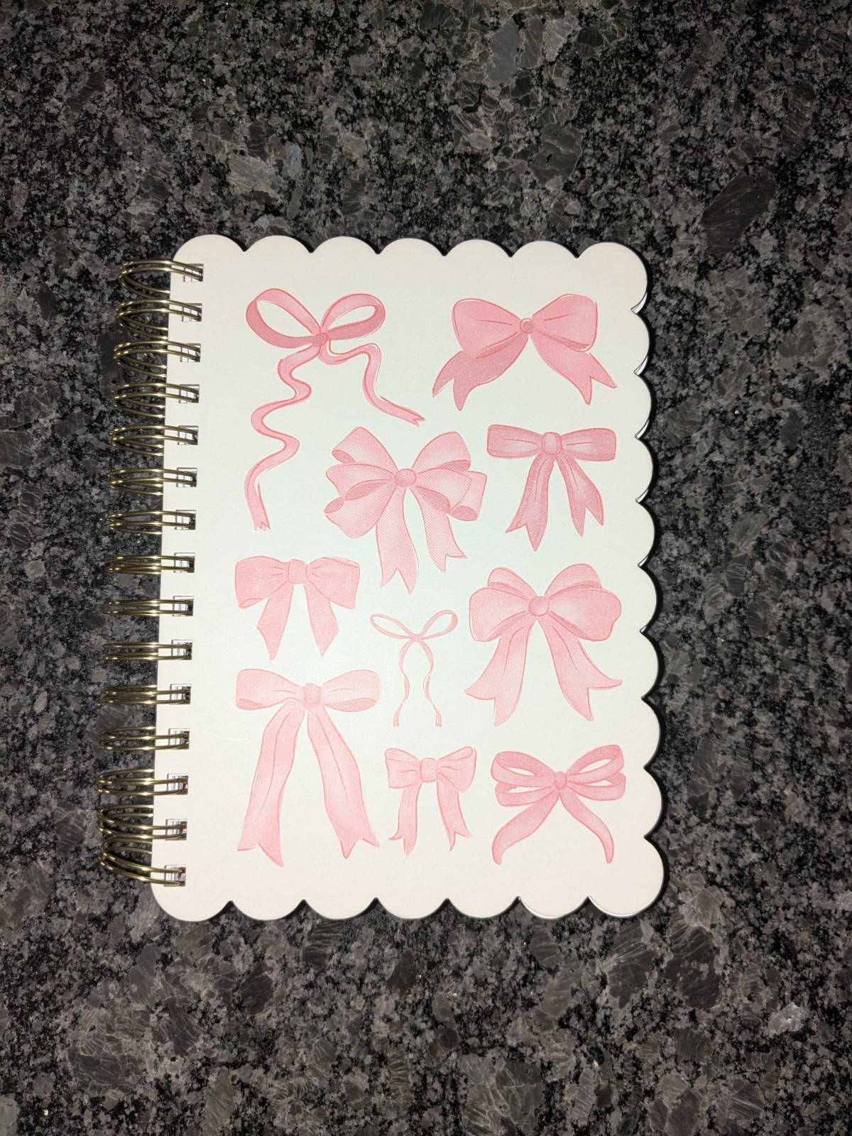 Ringed Journal with Scalloped Edge & Pink Bow Design, 120 Lined Pages, New