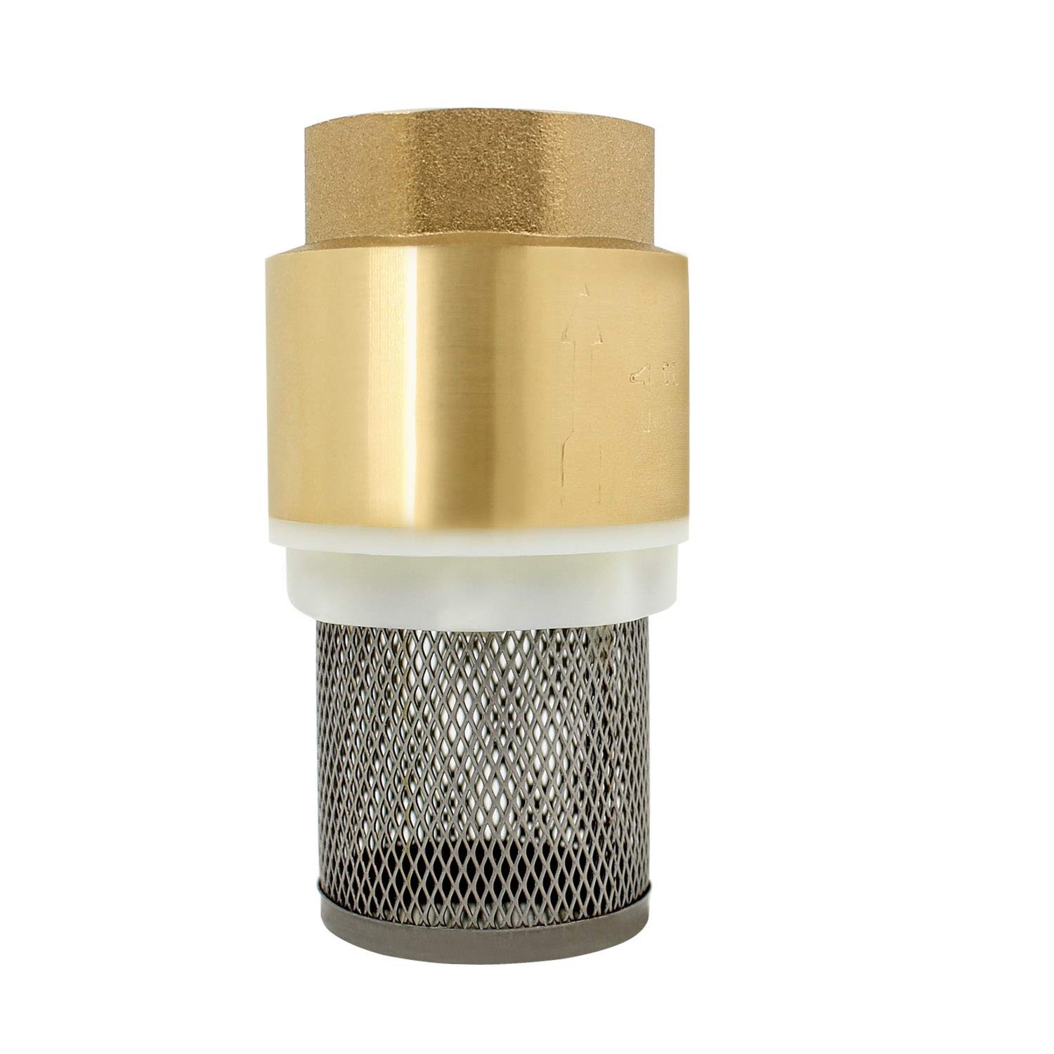 Check Valve for Pump 1/2 3/4 1 11/4 11/2 2 21/2 3 Inch Foot Valve with S…