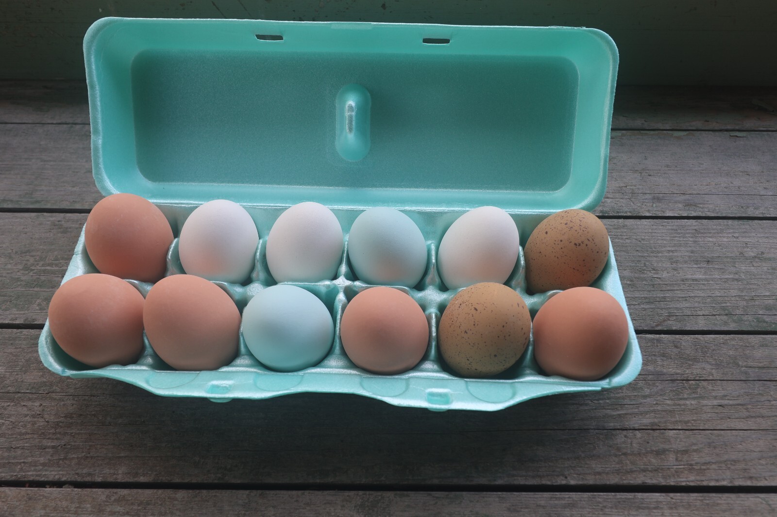 Styrofoam Bulk Egg Cartons (50 pack) Green
