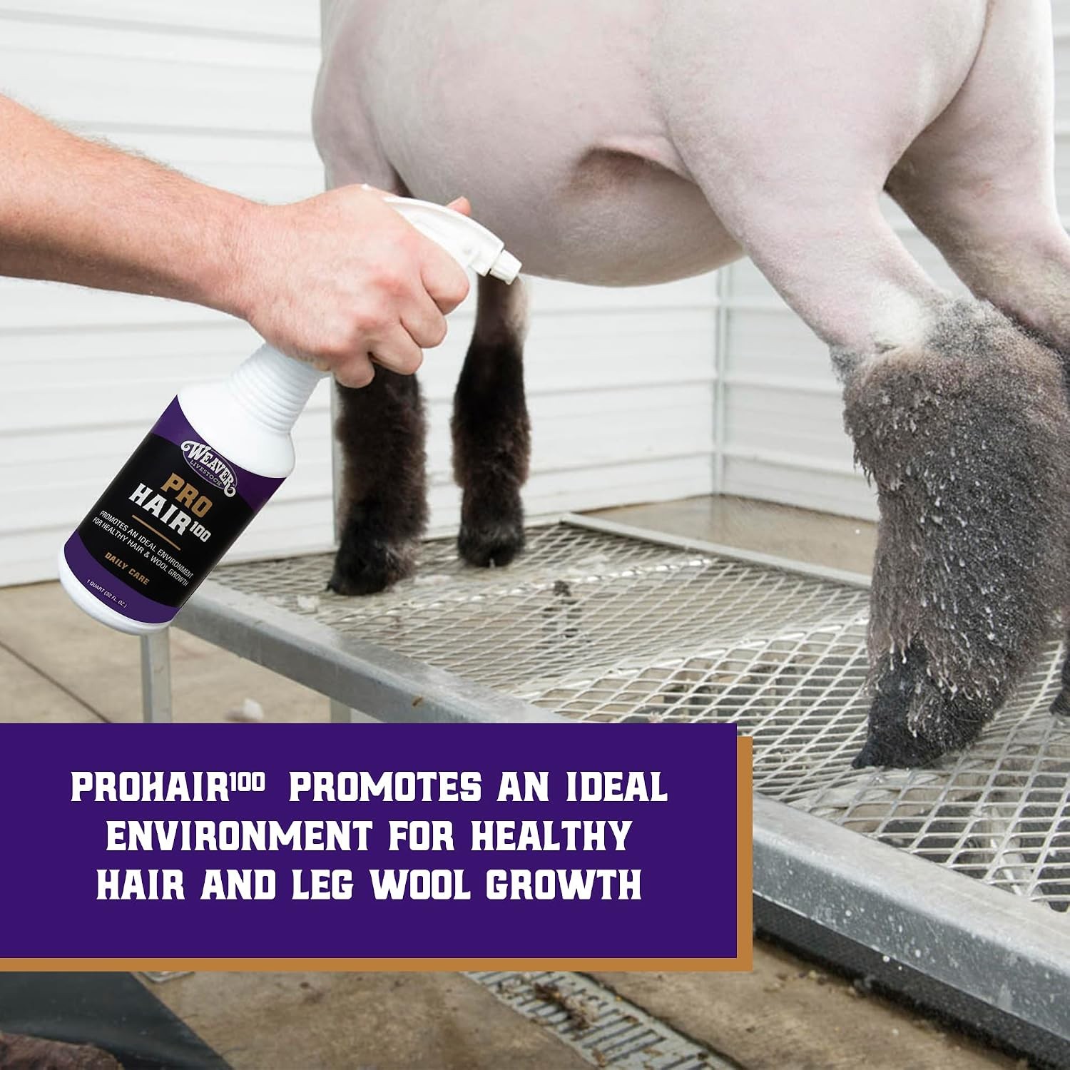 Weaver Livestock ProHair100 Healthy Hair and Wool Rejuvenating Livestock Hair Co