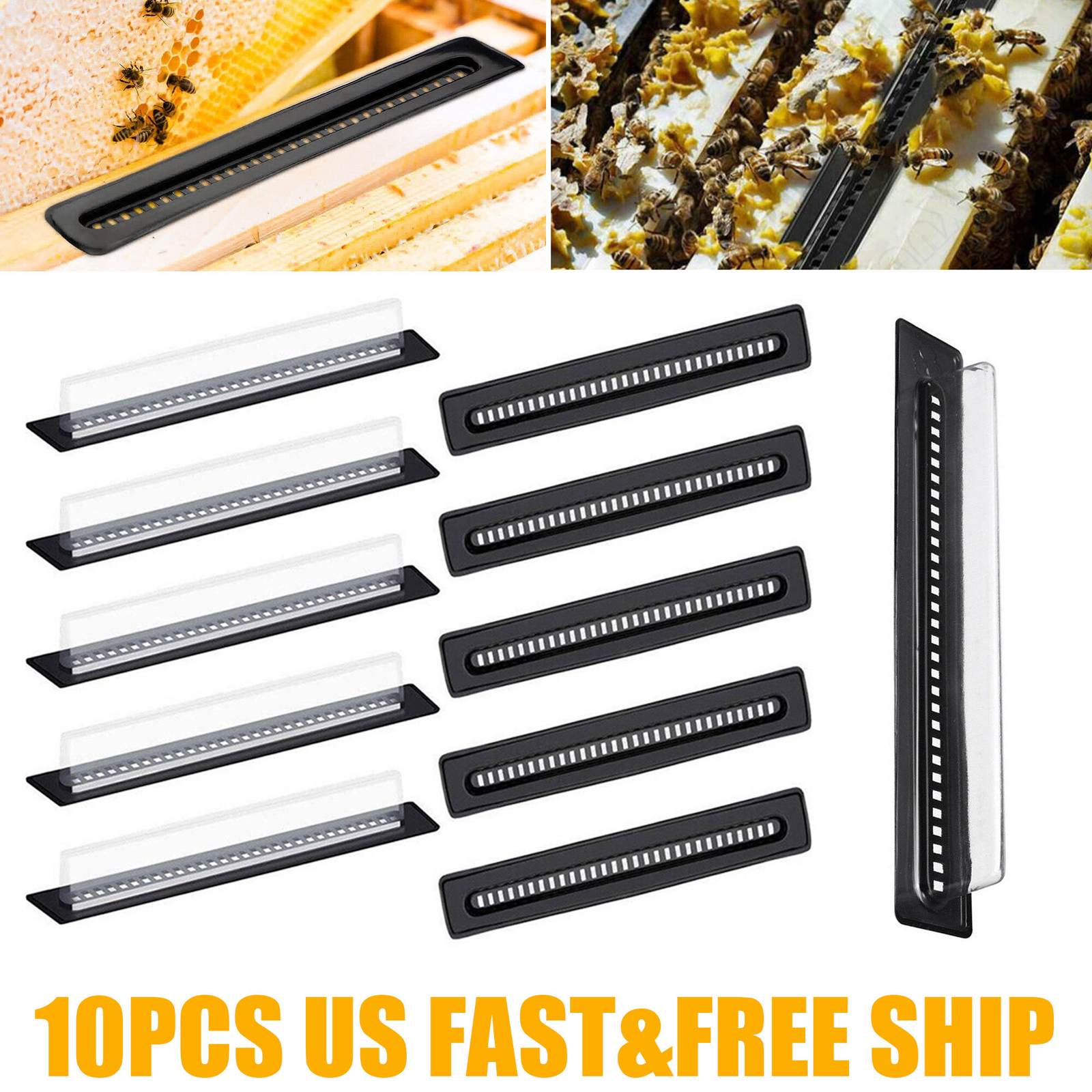 10X Plastic Small Bee Hive Beetle Blaster BeeHive Beetle Trap Beekeeping Tools