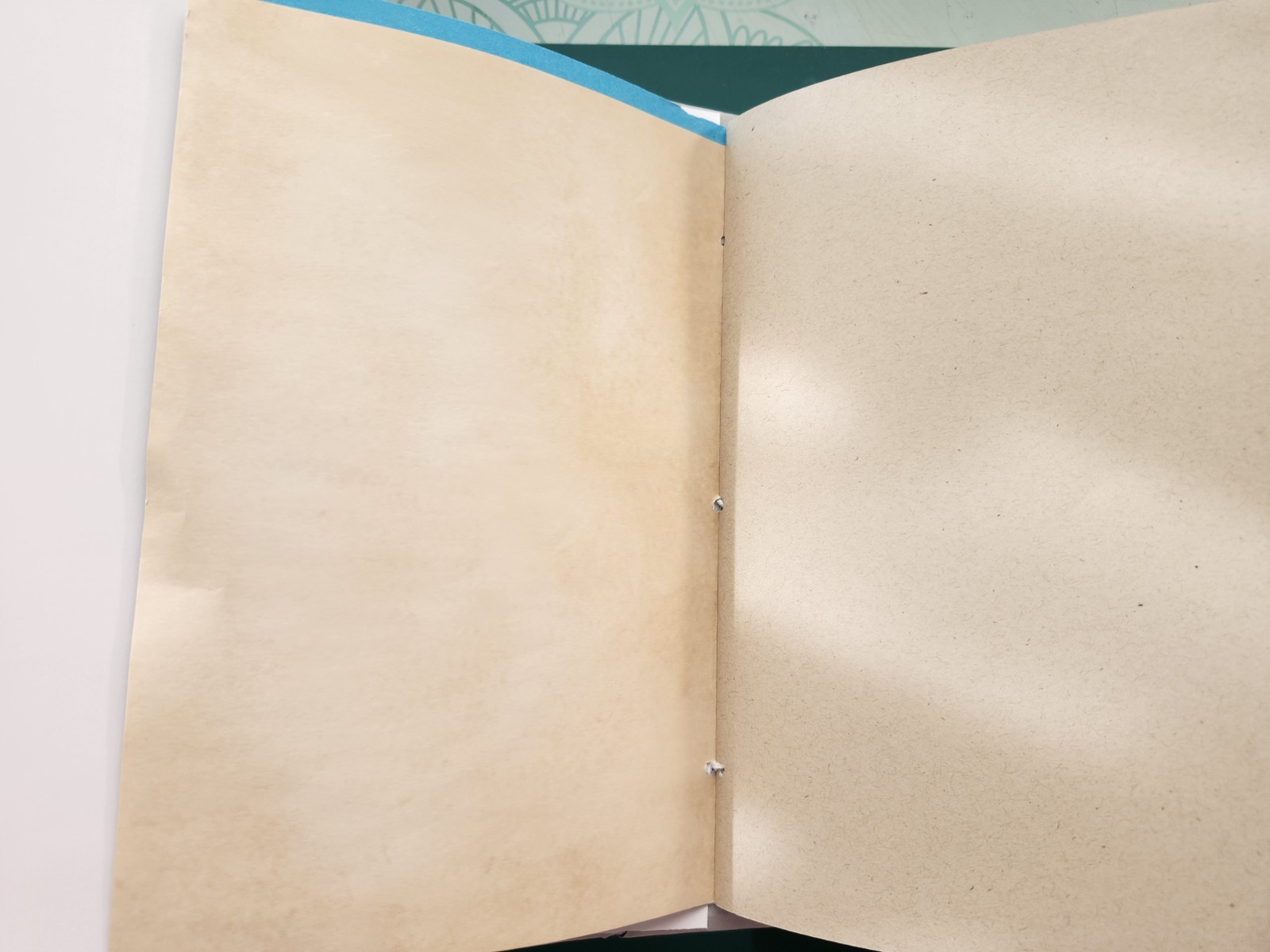 Handmade XL BLANK NAKED JUNK JOURNAL 200pgs! 9x6x3.25