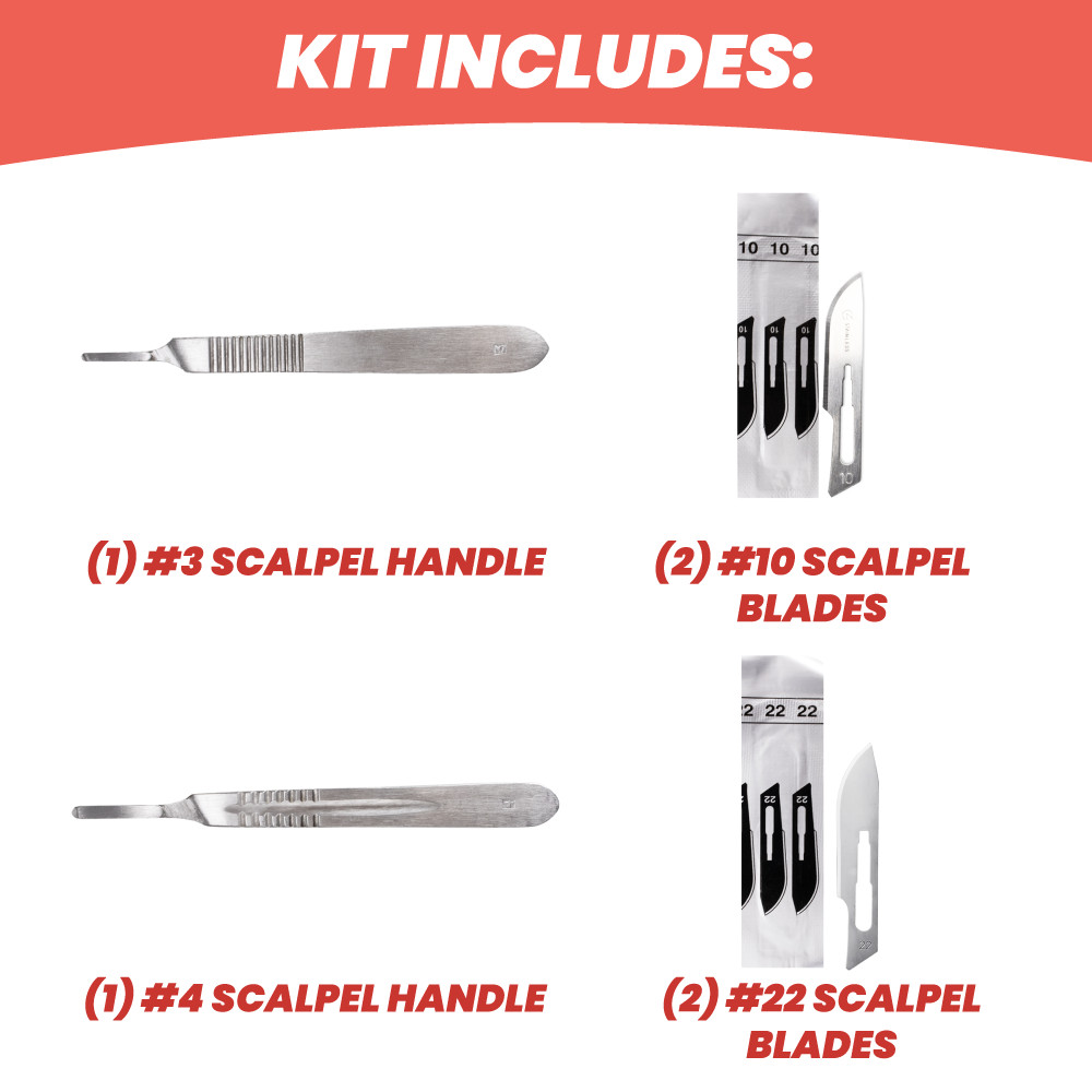 15 Piece Dissecting Kit, with Case