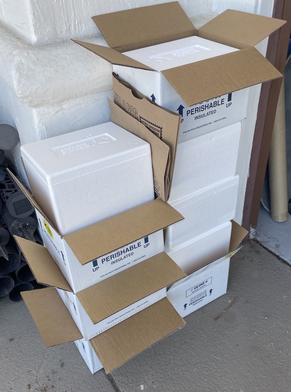 Uline Insulated Foam Shipper Box Cooler Meds Food Taxidermy, Includes Cold Packs
