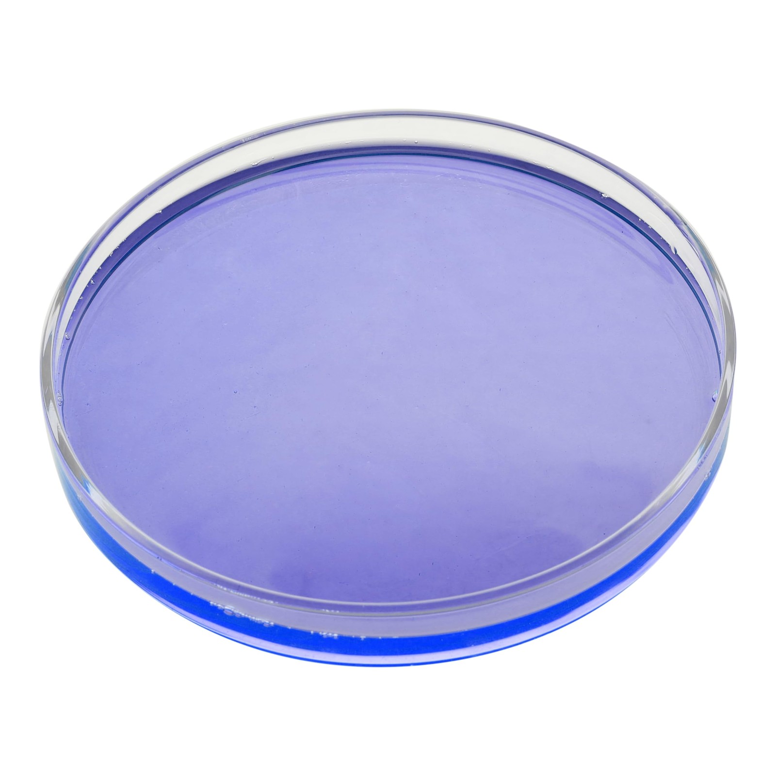 Petri Dish, 5.9″ (150mm) – Beaded Edges Easy to Sterilize for Repeated Use Bo…