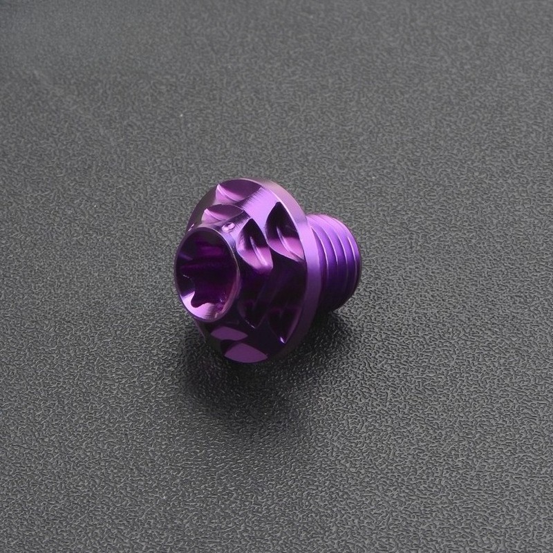 Titanium Bolt M10x10-40mm Plum Head Torx T50 Screws Gr5 for Bike Motorcycle Car