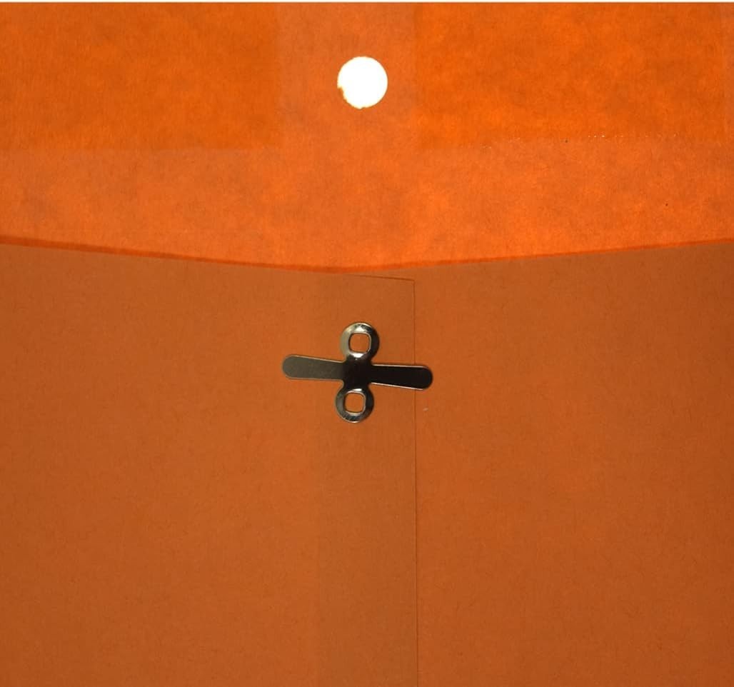 Clasp Envelopes, Gummed and Clasped Closure, 6 x 9 Inches, Brown Kraft, 25 En…