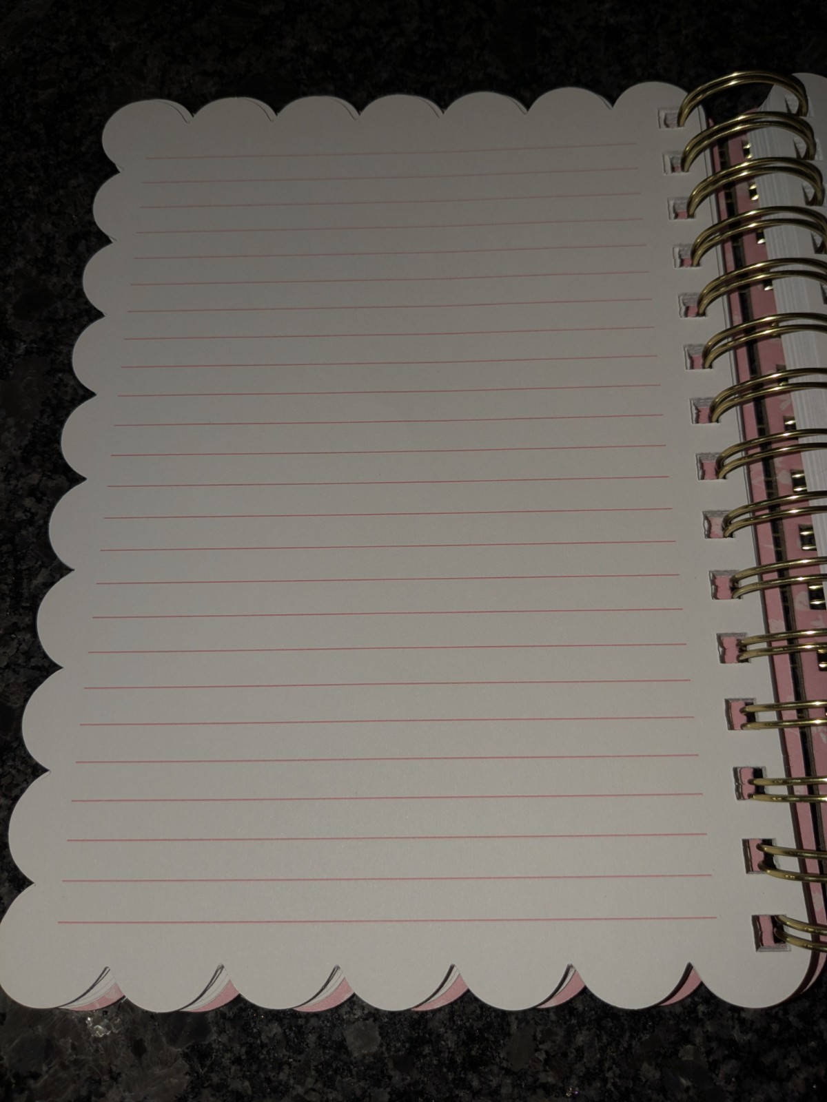 Ringed Journal with Scalloped Edge & Pink Bow Design, 120 Lined Pages, New