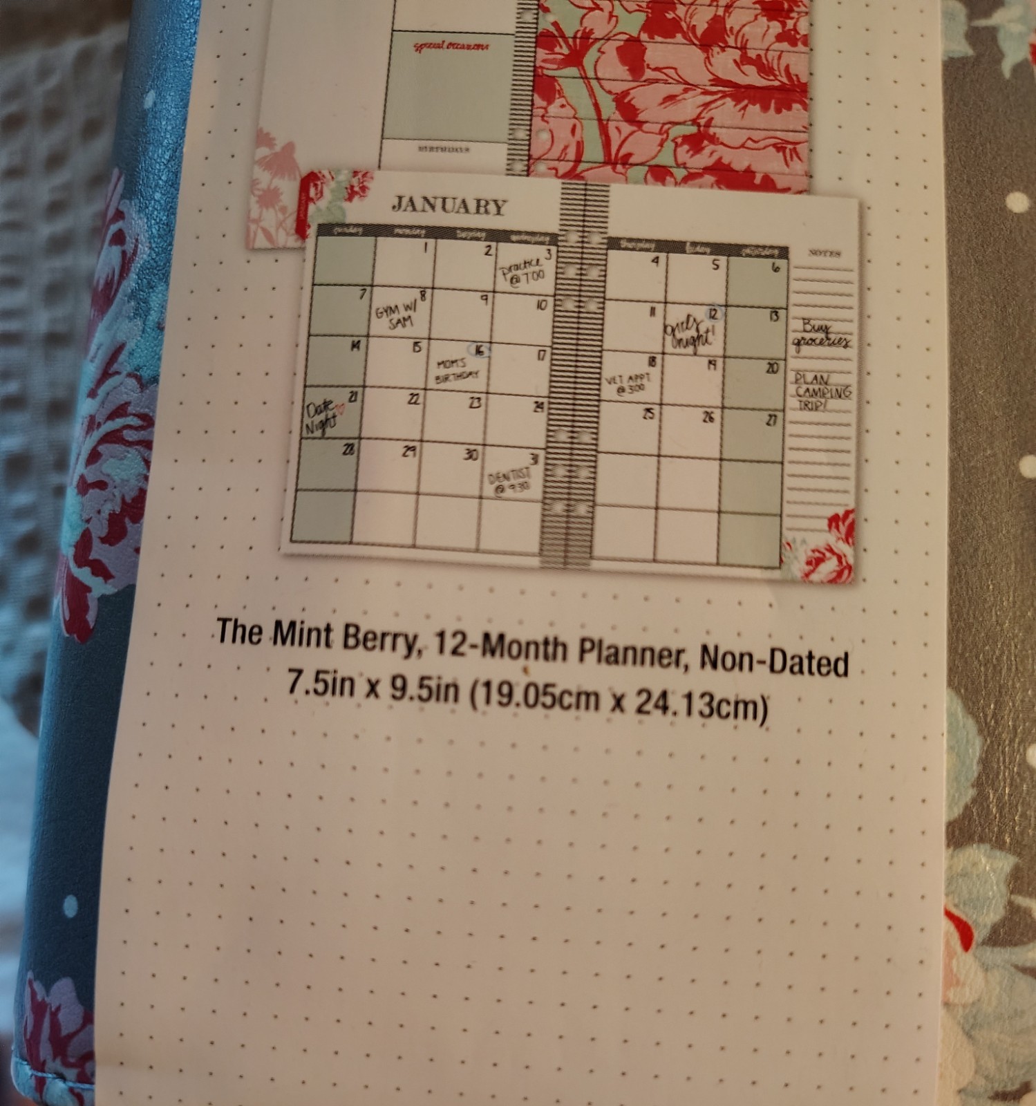 New The Paper Studio Agenda 52 Non-Dated Monthly/Weekly 7.5×9.5 Mint Berry
