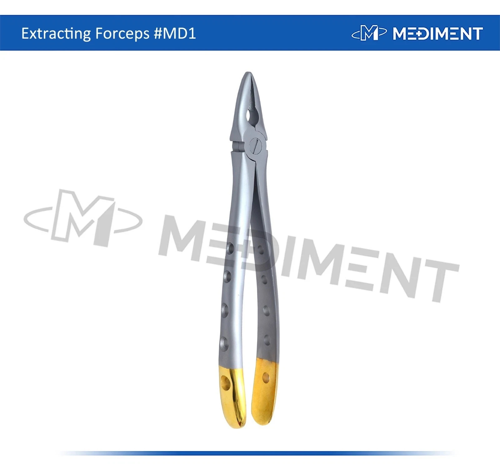 10 Pcs Set Of Premium German Dental Tooth Extracting Forceps Instruments