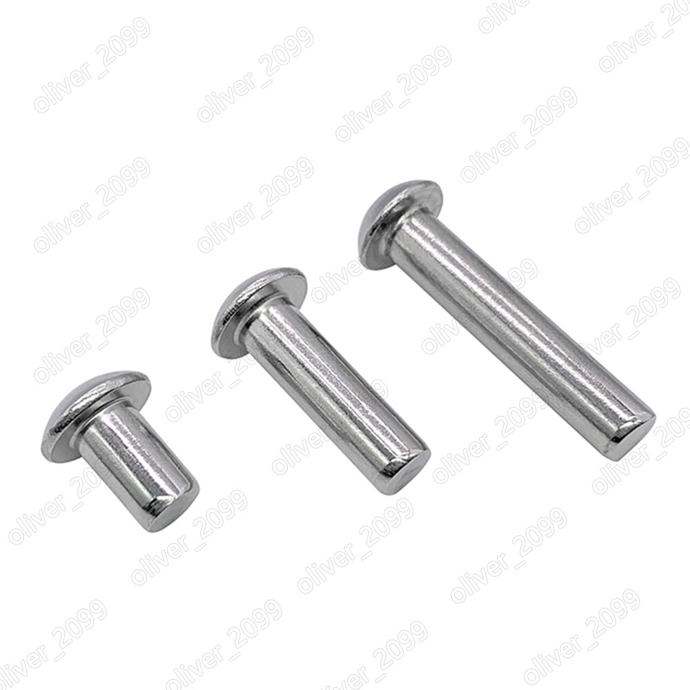 304 Stainless Steel DIN660 Round Head Rivets M3 M4 M5 M6