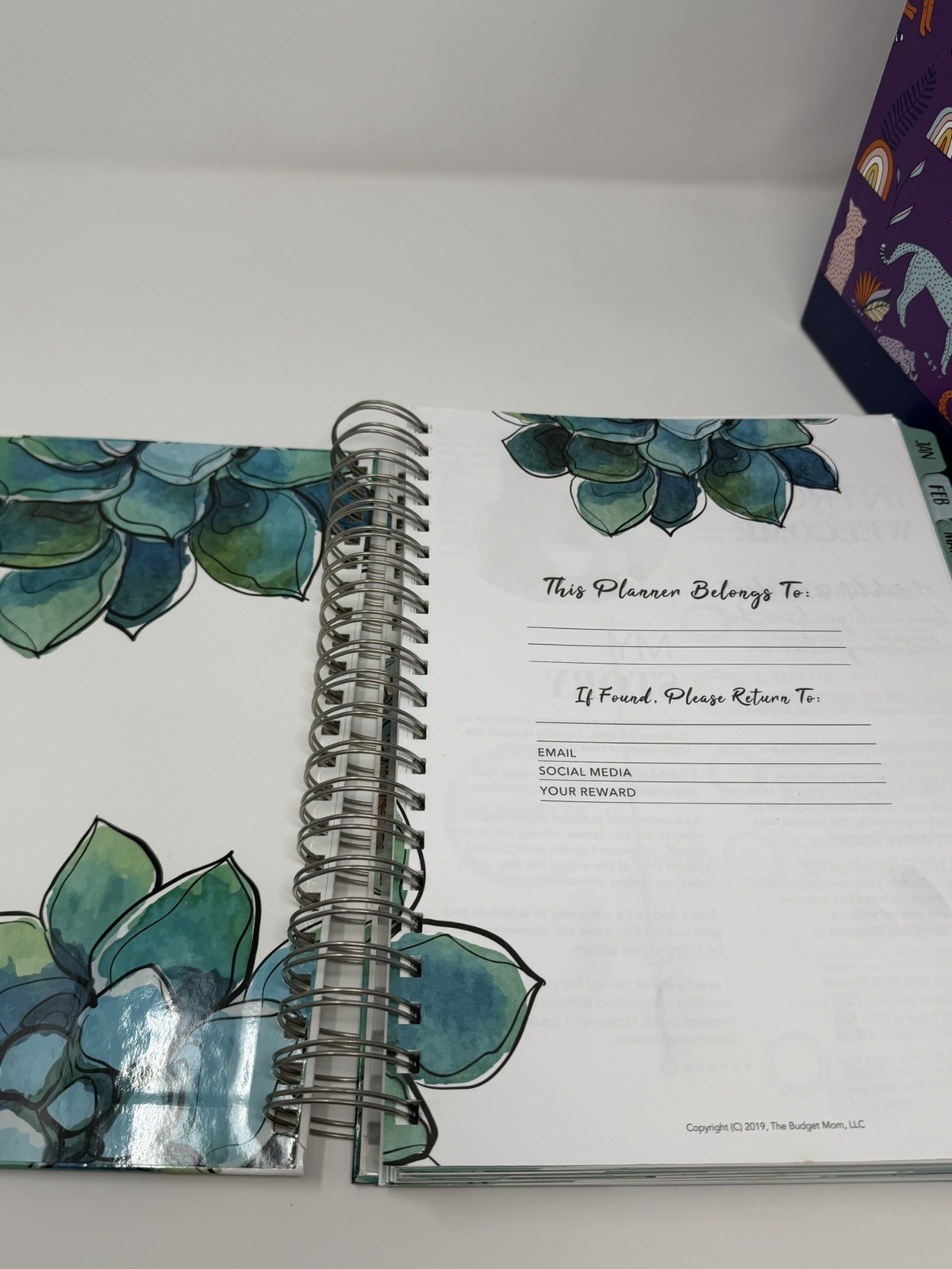 The Budget Mom Live Rich Planner & Budget by Paycheck 12 Month Box Set