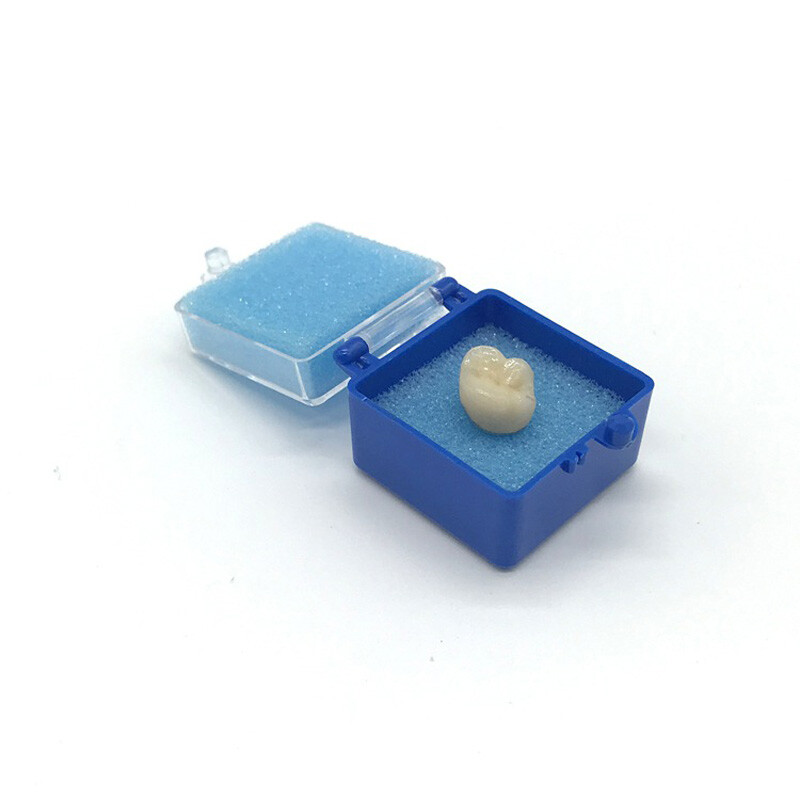 100pcs Denture Box Sponge Case Dental Box Appliance Container Storage Box