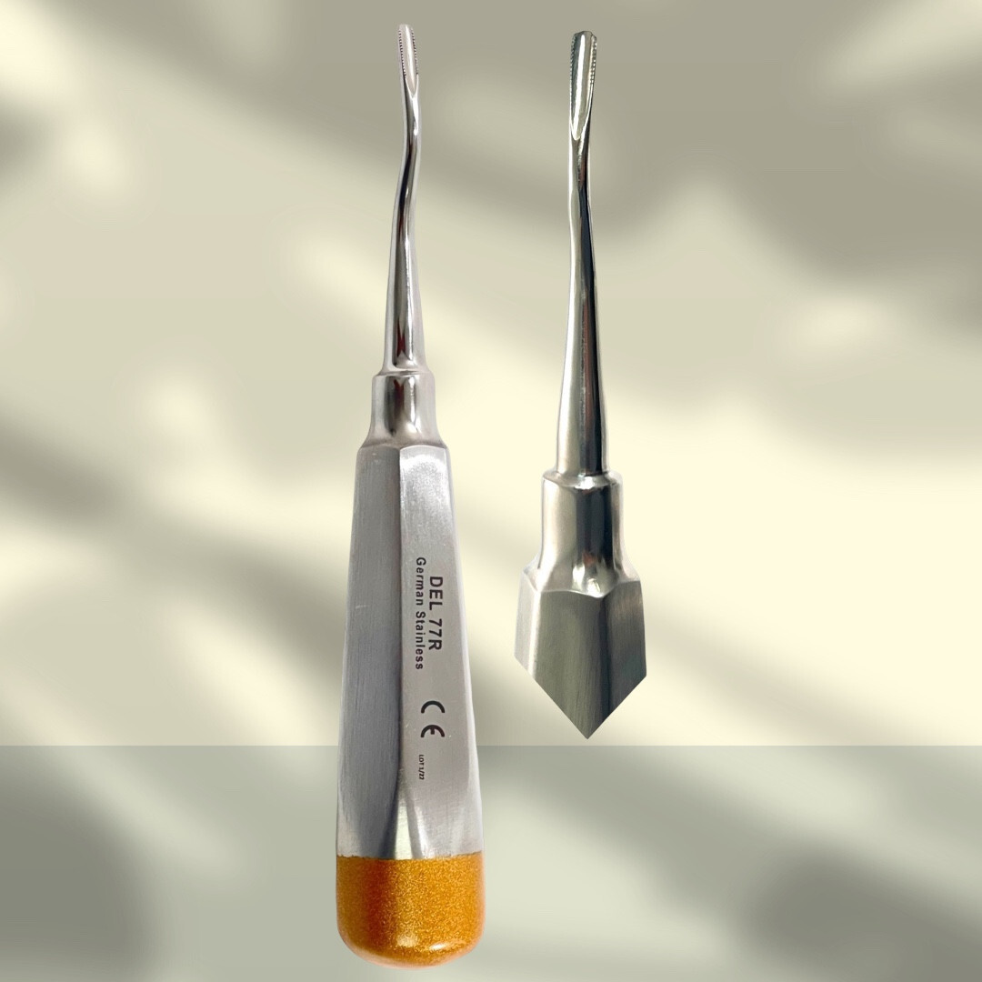 Dental Elevator Root Tip Pick #60 STR + Elevator #77R Tooth Extraction – ArTLaB