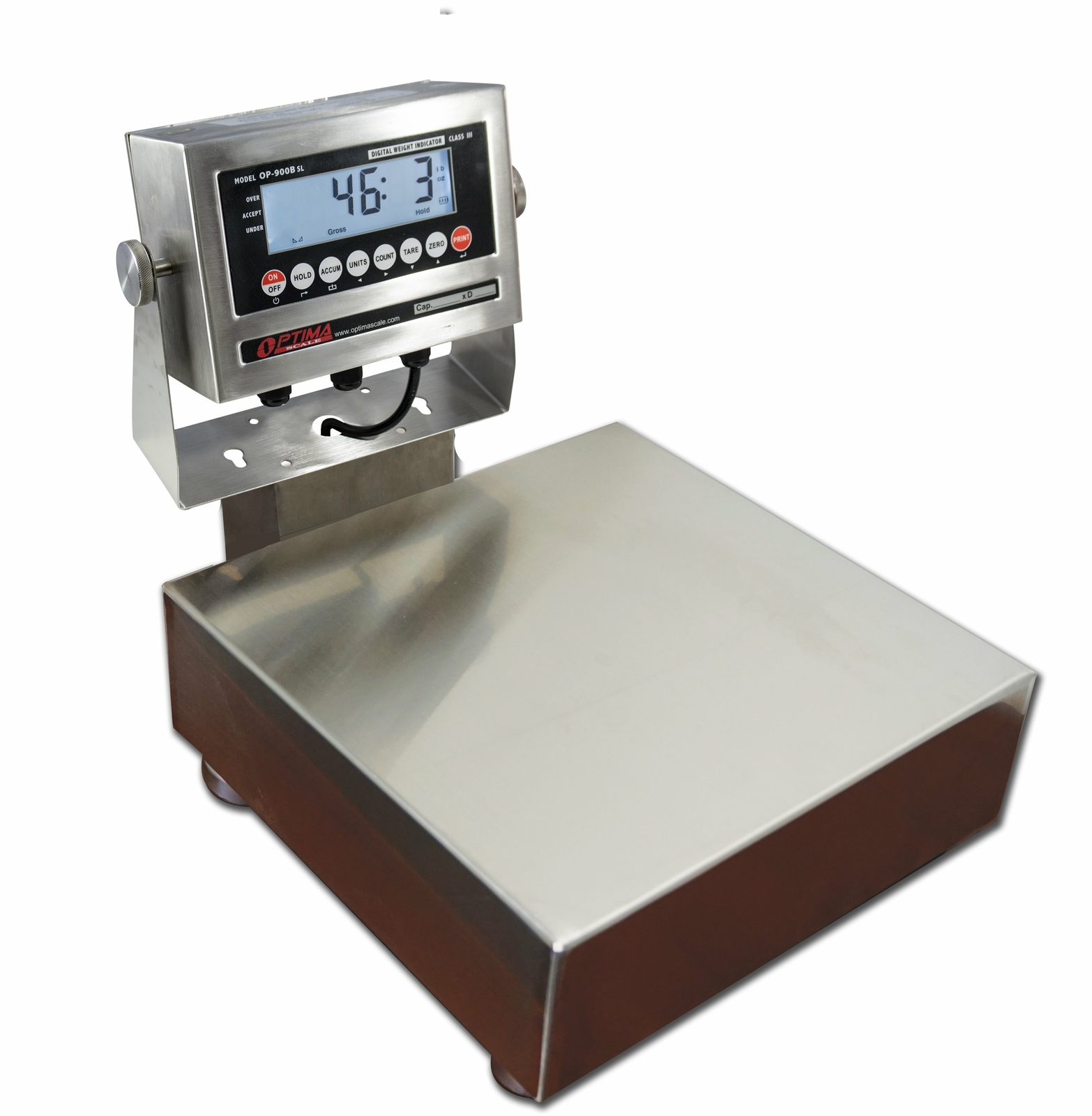 Ntep (12”x12”) Legal Trade Stainless Steel Washdown Bench Scale 100 Lb x 0.02 Lb