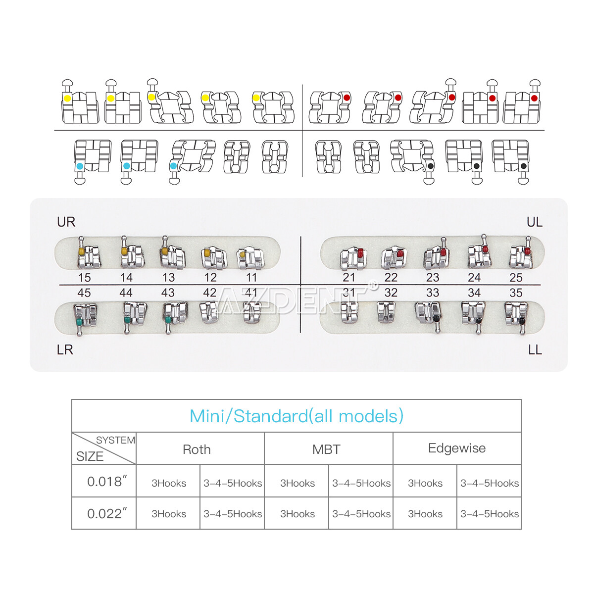 US AZDENT Dental Orthodontic Metal Brackets Braces/Supper Elastic Niti Arch Wire