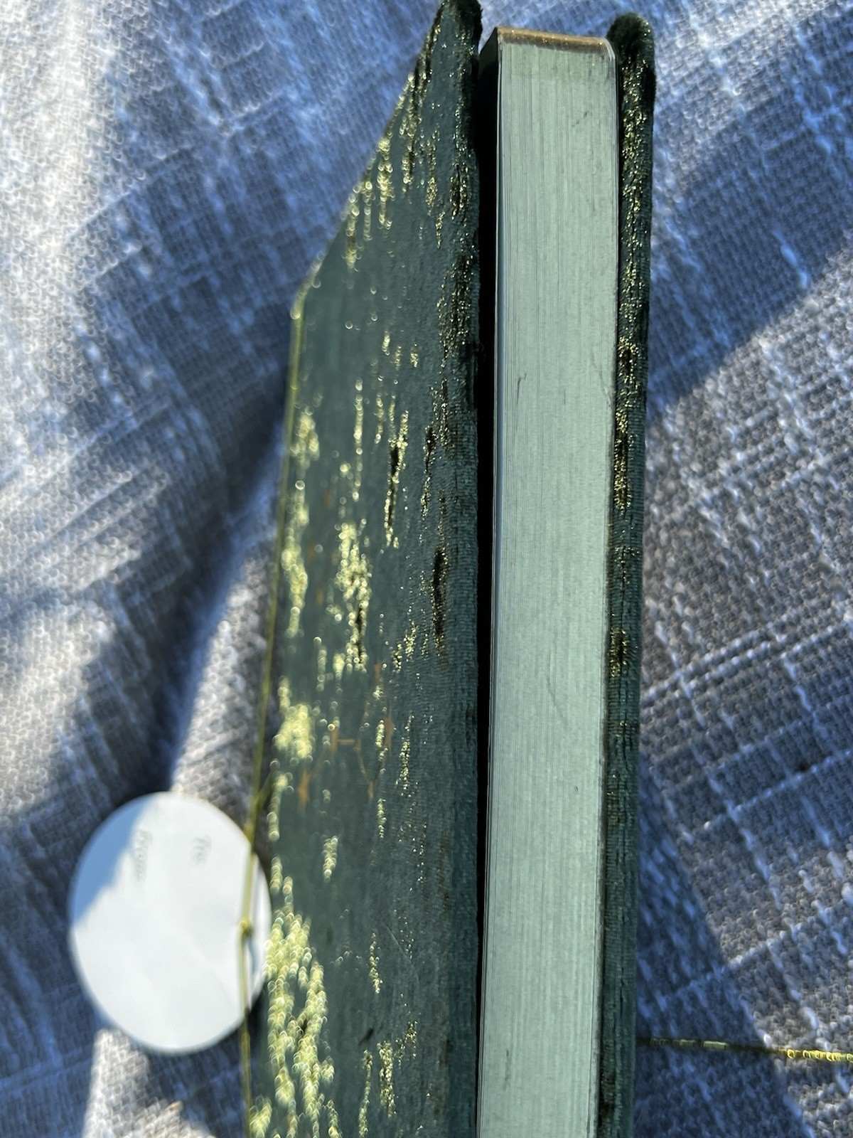 Crushed Velvet Dark Green & Gold Zodiac Pisces Journal Notebook 8”