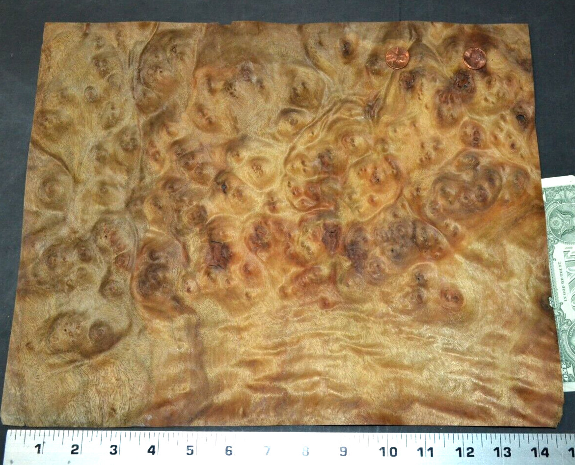 Camphor Burl Raw Wood Veneer Sheet 11.5 x 14.5 inches 1/42nd thick 4672-84