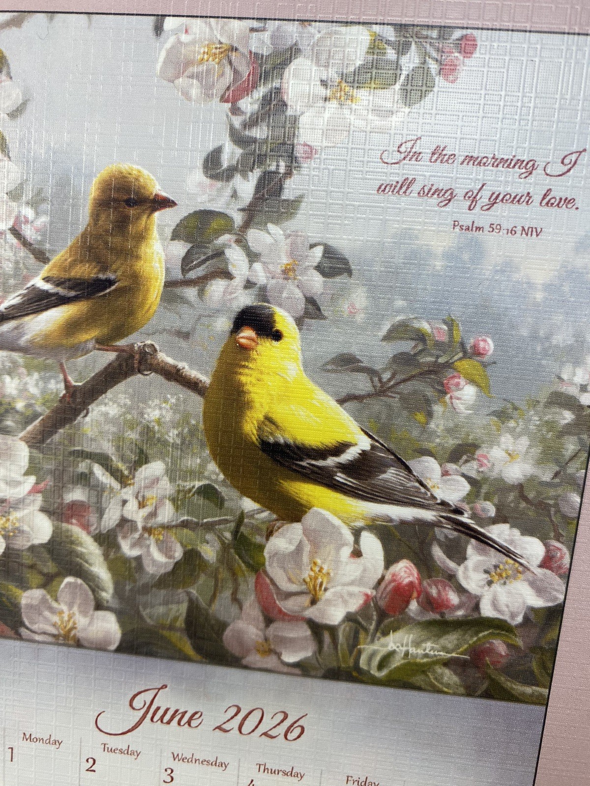 Legacy Songbirds of Faith 2026 Wall Calendar with scripture Birds High Quality
