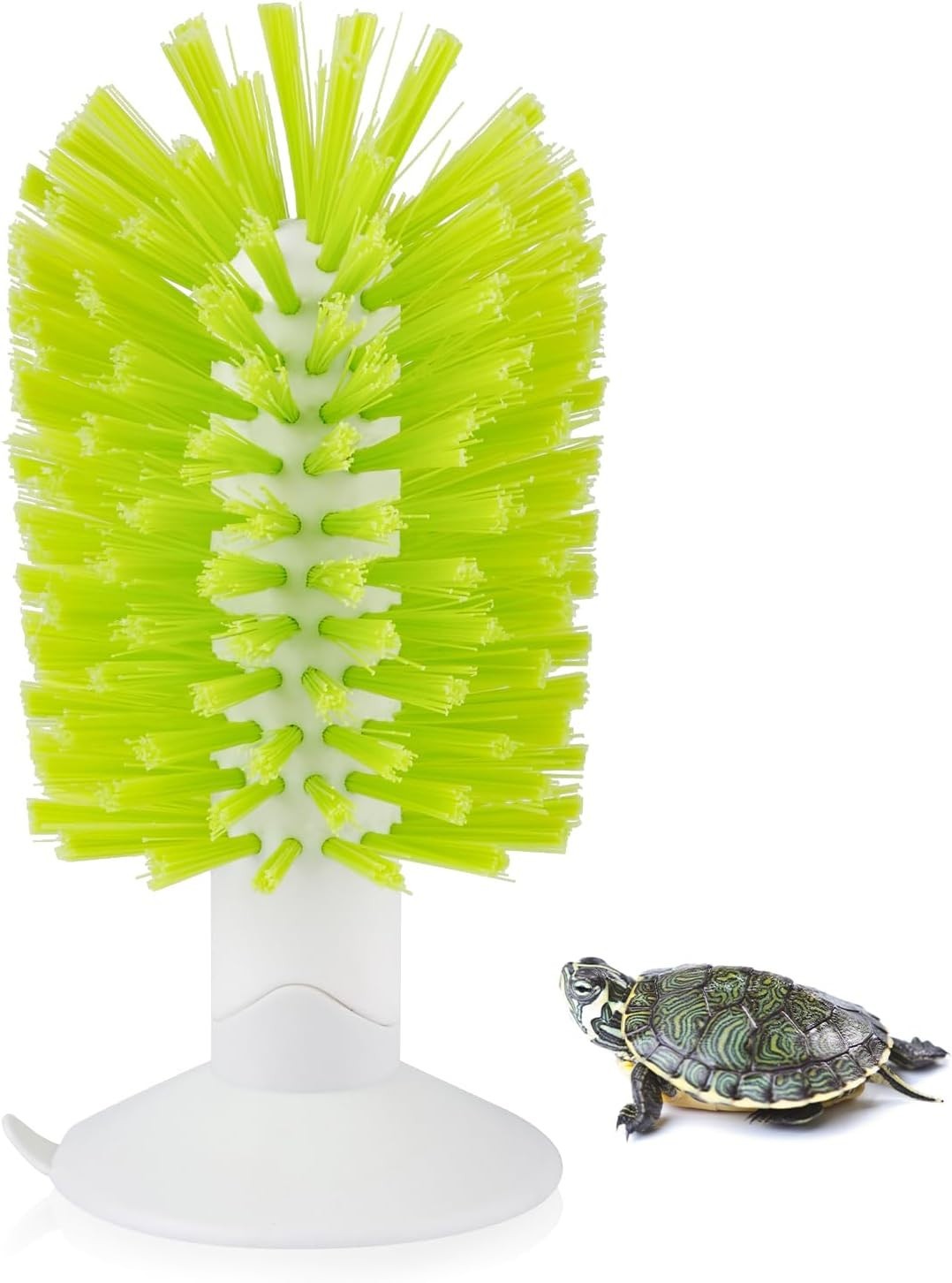 Turtle Brush with Suction Cup Turtle Shell Cleaning Brush Turtle Scrub Scratc