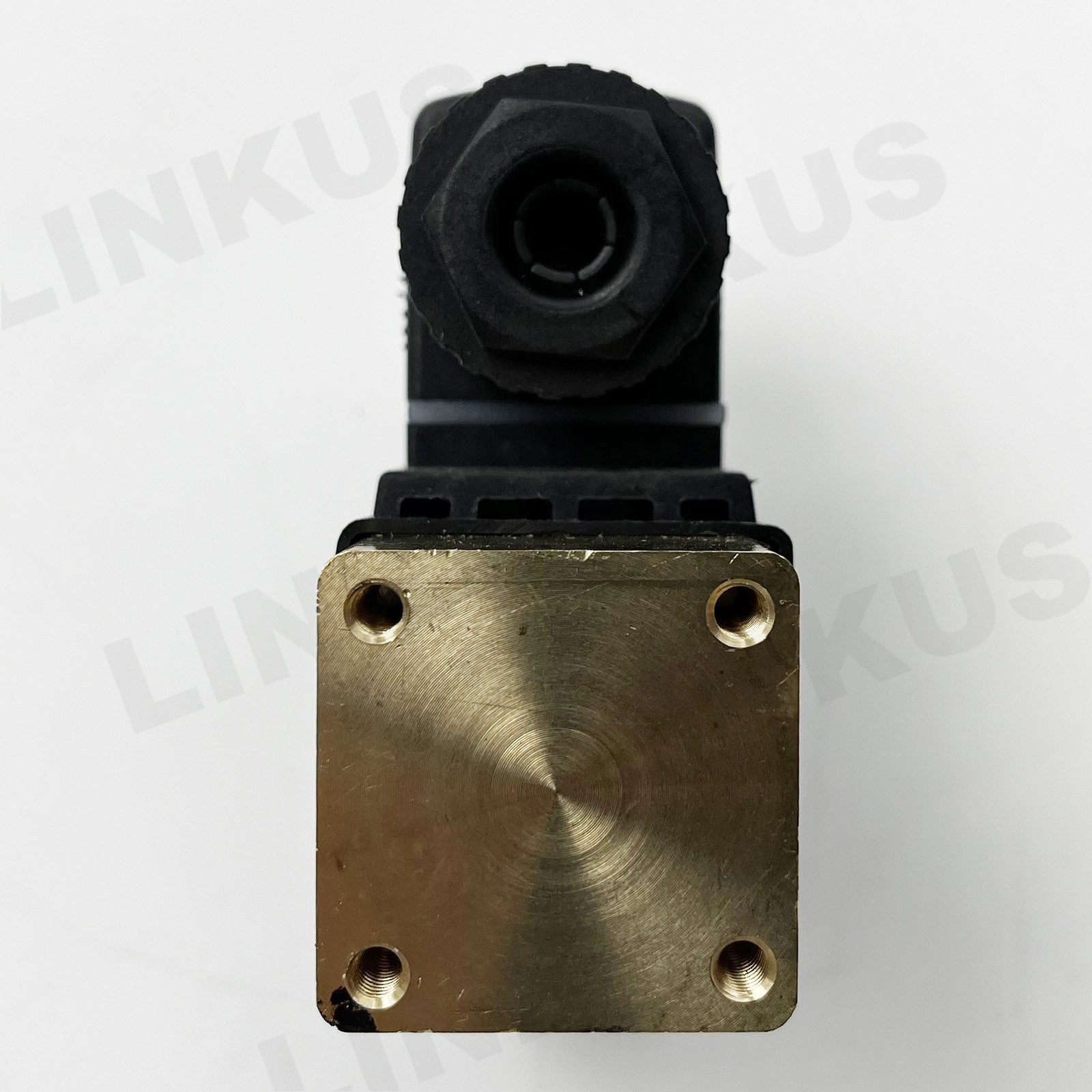 NEW Solenoid Valve 22228019 110V 50-60Hz 8W for INGERSOLL RAND
