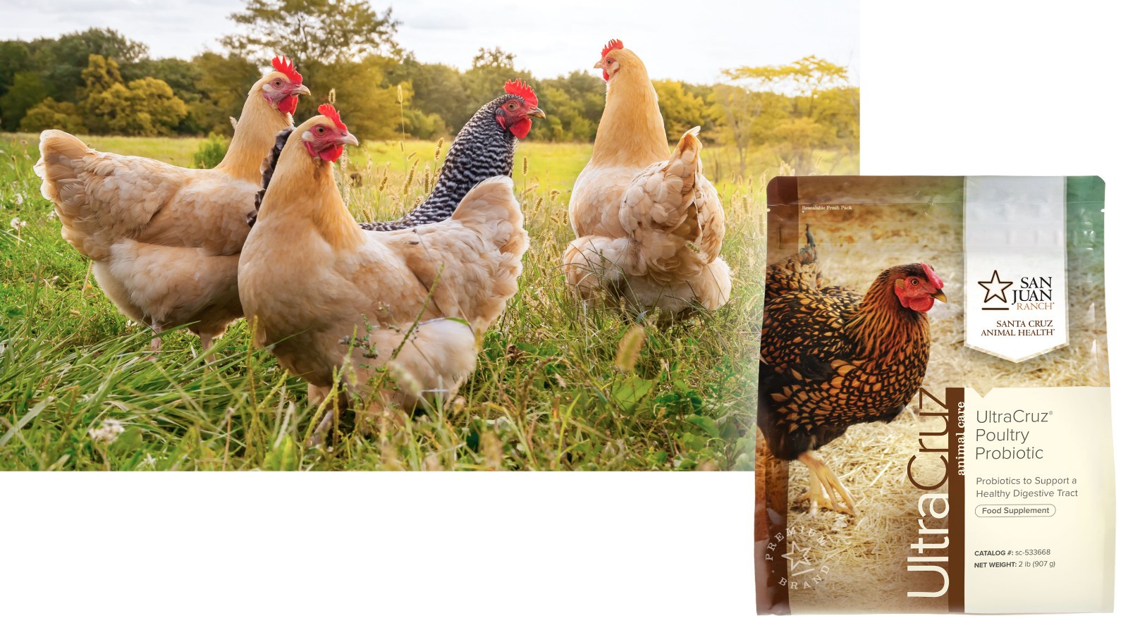 UltraCruz� Poultry Probiotic, 2 lb