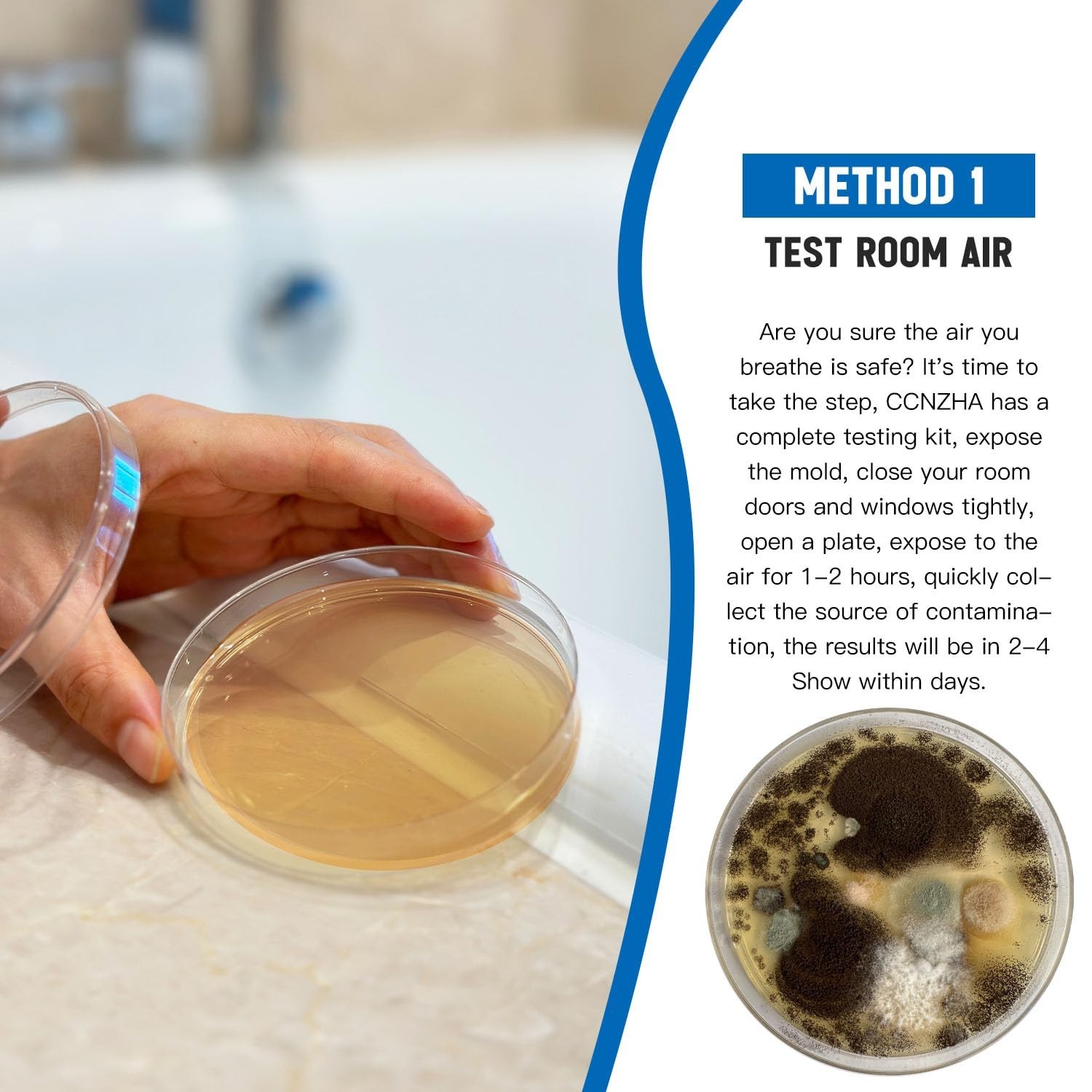 Home Mold Kit – 6 Tests, Black Mold Detector, Free Lab Analysis