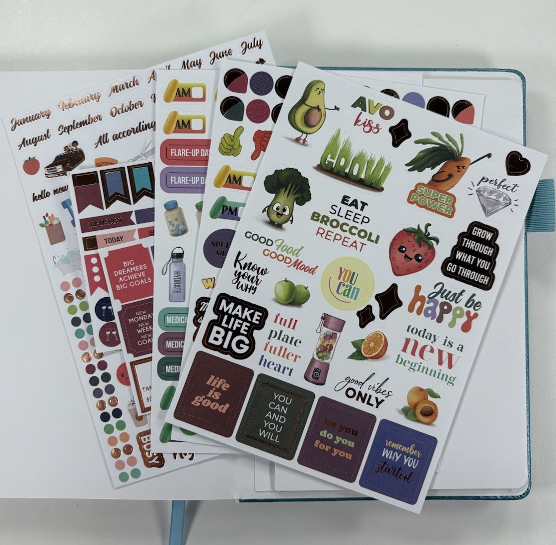 Clever Fox Food Sensitivity Journal Daily Nutrtion Tracker Teal Blue Never Used