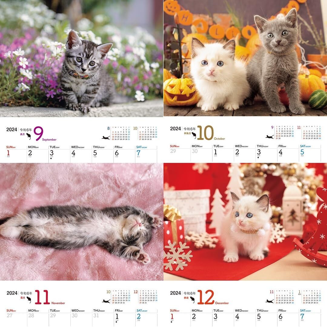 JTB Calendar Nyanko 2024 Wall Hanging Cat (Calendar 2024)