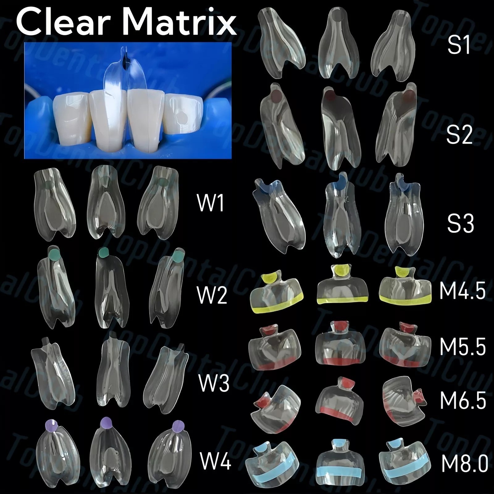 Dental Matrix Bands Ring Sectional Matrice Clamp Fit Garrison Palodent V3 System