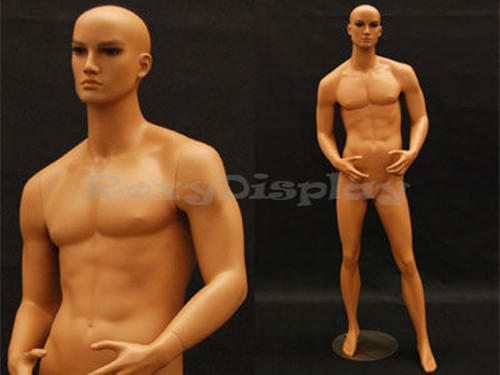 Tan skin young male mannequin Dress Form Display #MD-HAM24