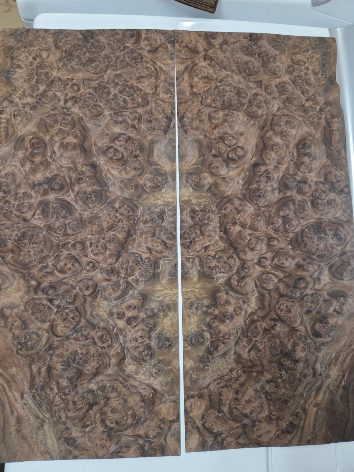 Walnut Burl Veneer:) 2@10.5×24″