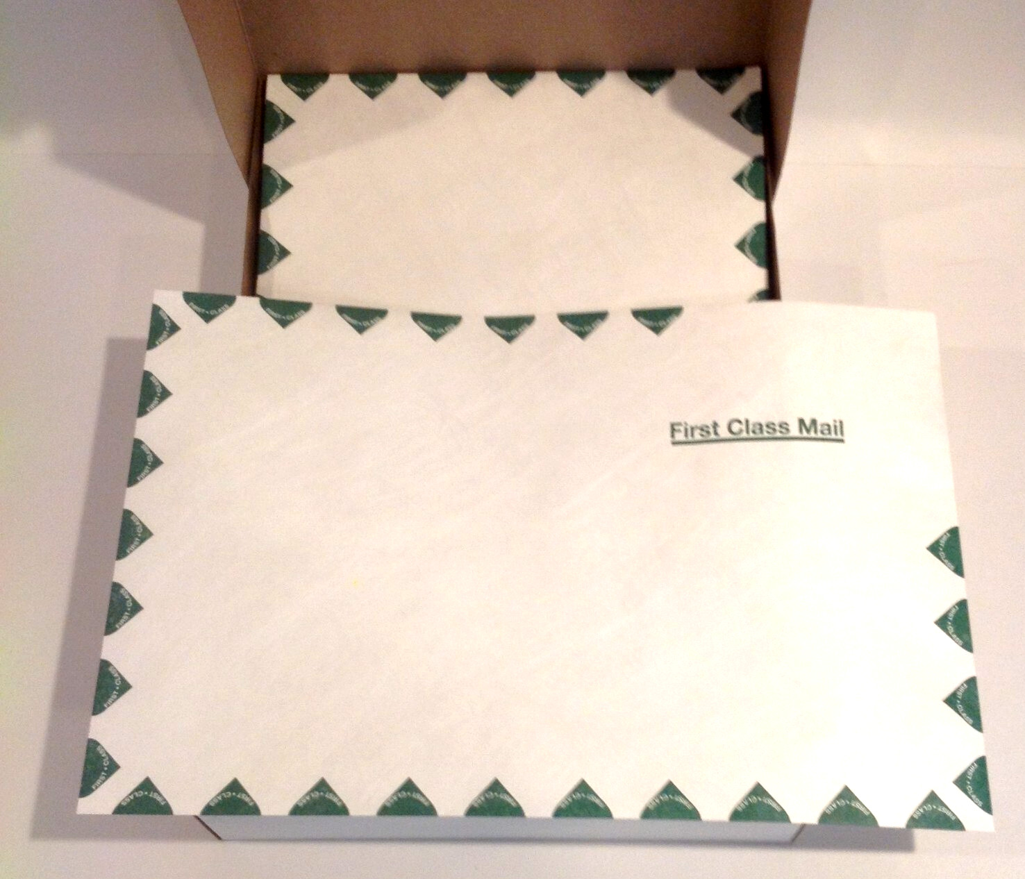 Box of 100 Survivor R1670 Tyvek USPS First Class Mailers 10″ x 15″ White NEW