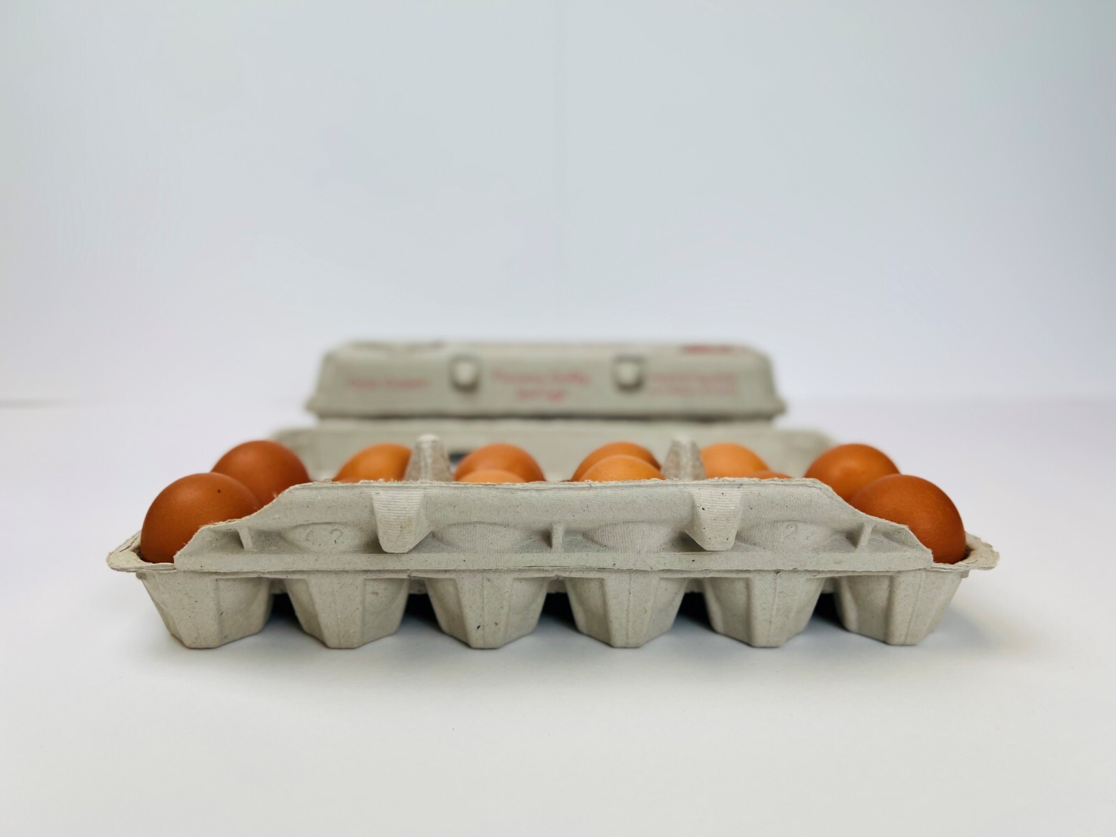 Printed Egg Carton (Barn/Rooster) – 100 UNITS