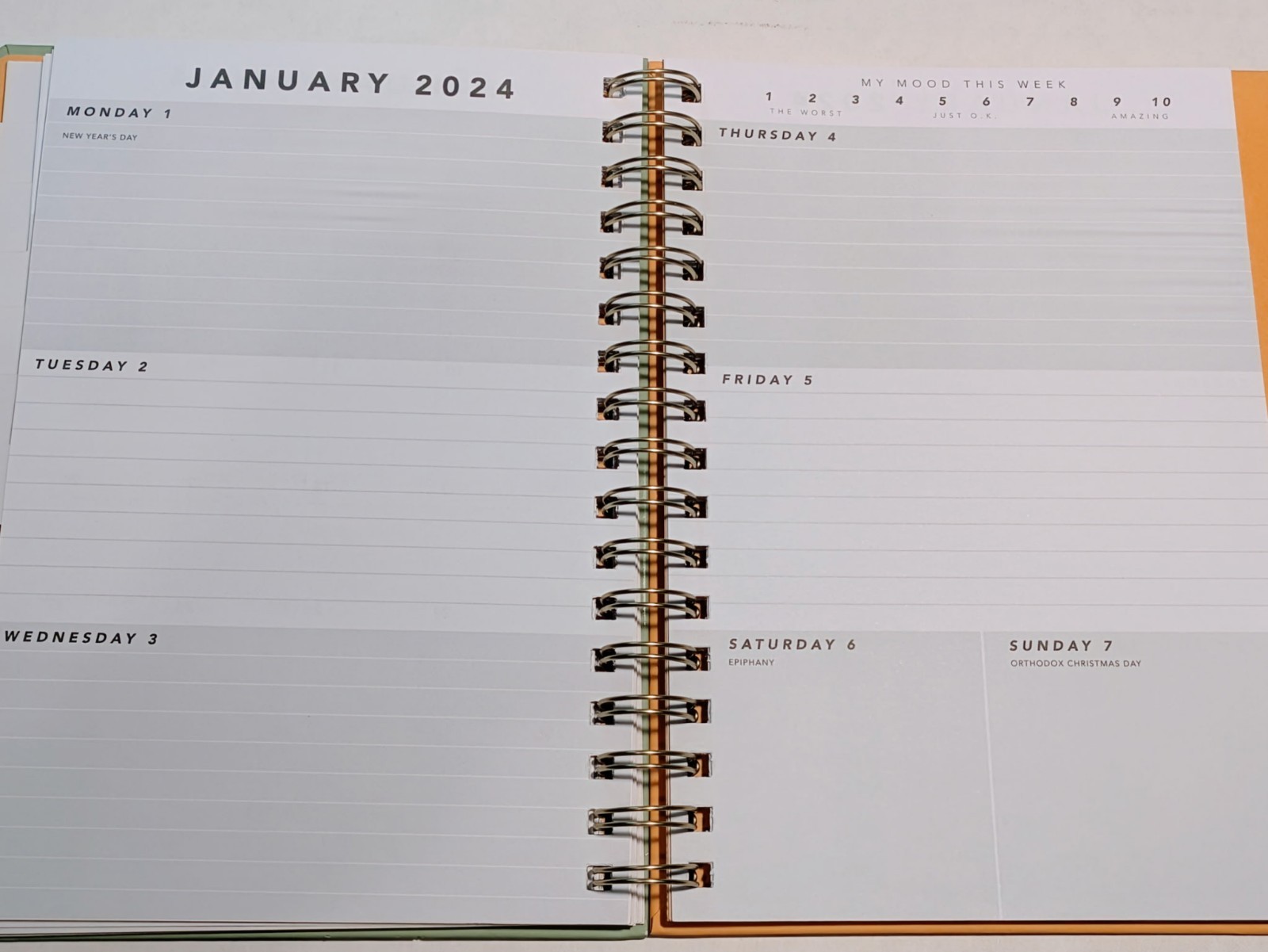 Be Rooted Academic Planner 2023-2024 Week & Monthly 8.5″ x 11″